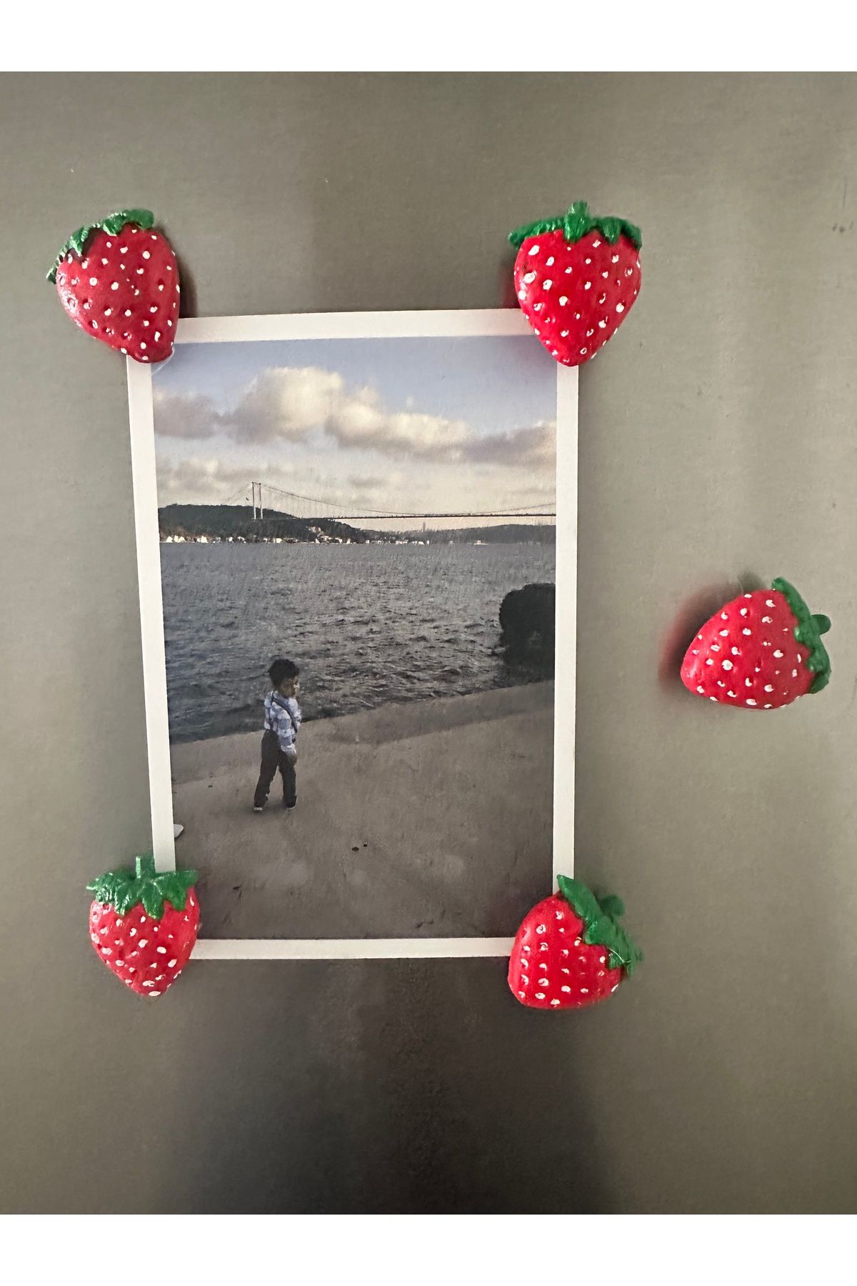 evdeki atölyem 5’li çilek magnet/fotoğraf magneti/dolap süsü