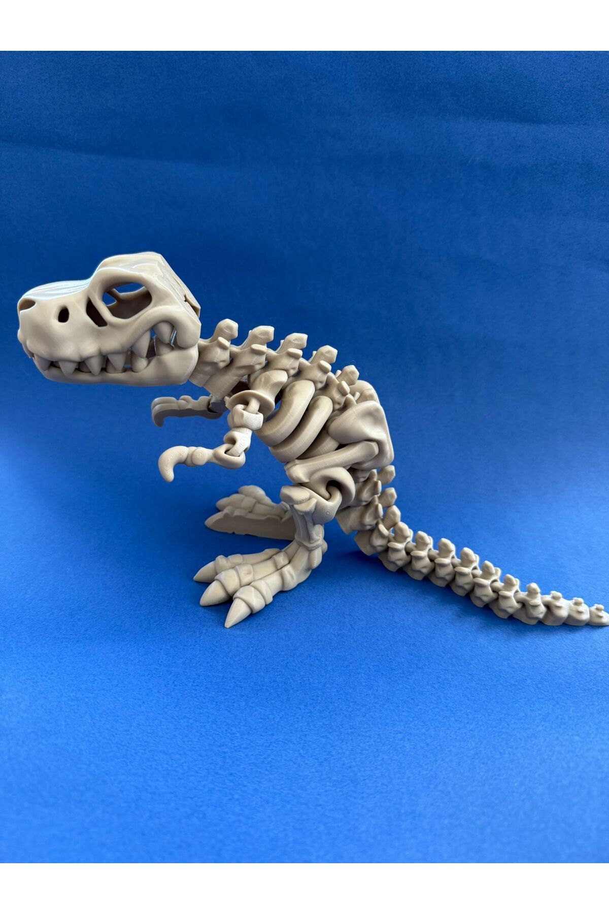 3dimagination Hareketli T-rex Dinozor Iskeleti Büyük Boy