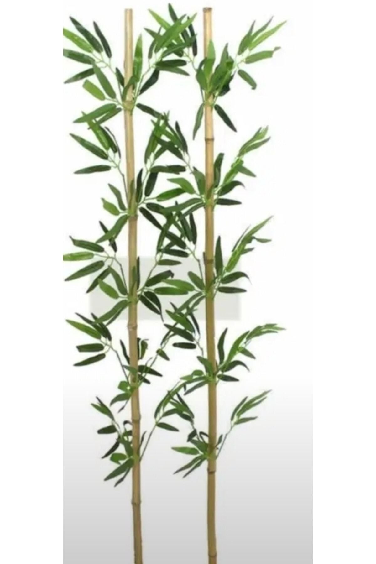 Elioure Yeşil 100 cm Bambu Rüzgar Çiçeklik, şık ve doğal dekor seçeneği