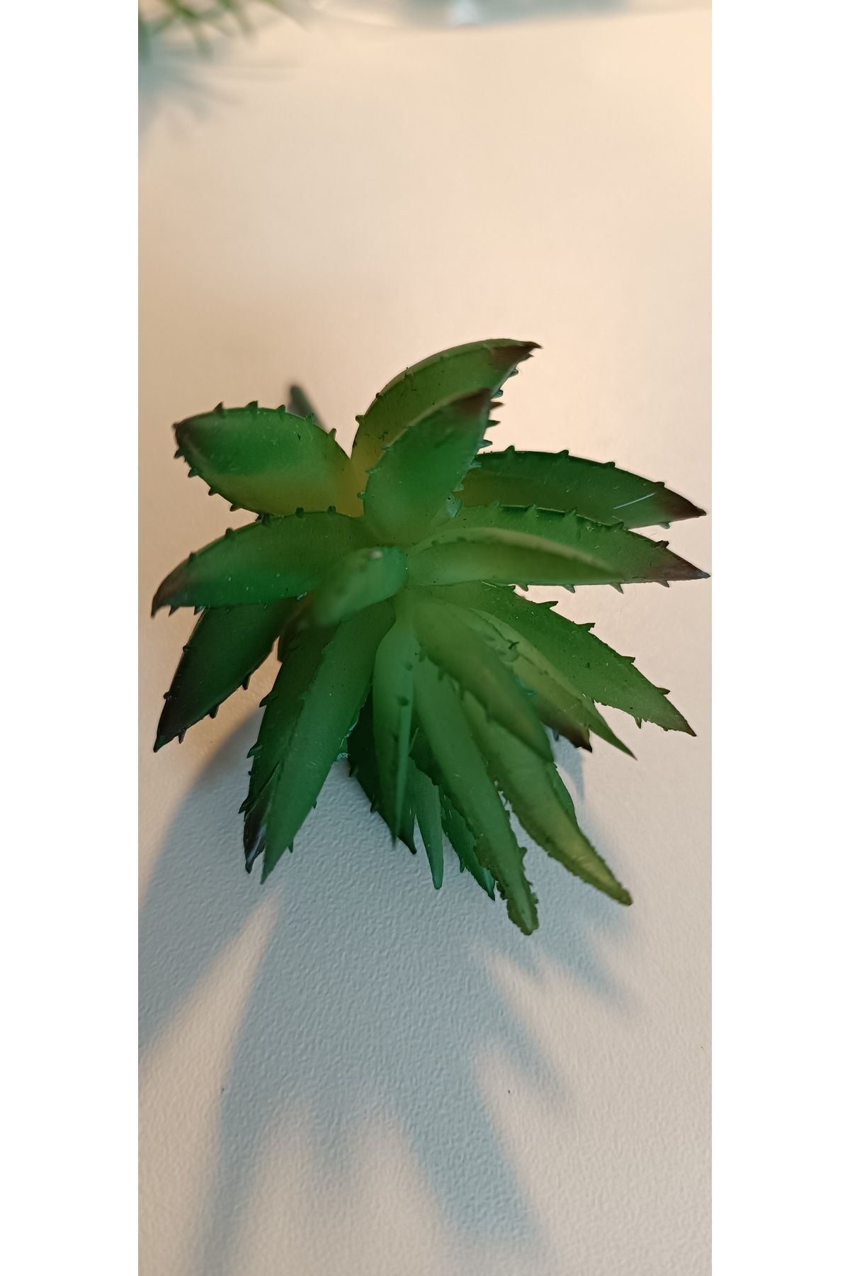 Elioure İki Adet Yeşil Yapay Suculent, 5x8 Cm, Doğal Görünüm