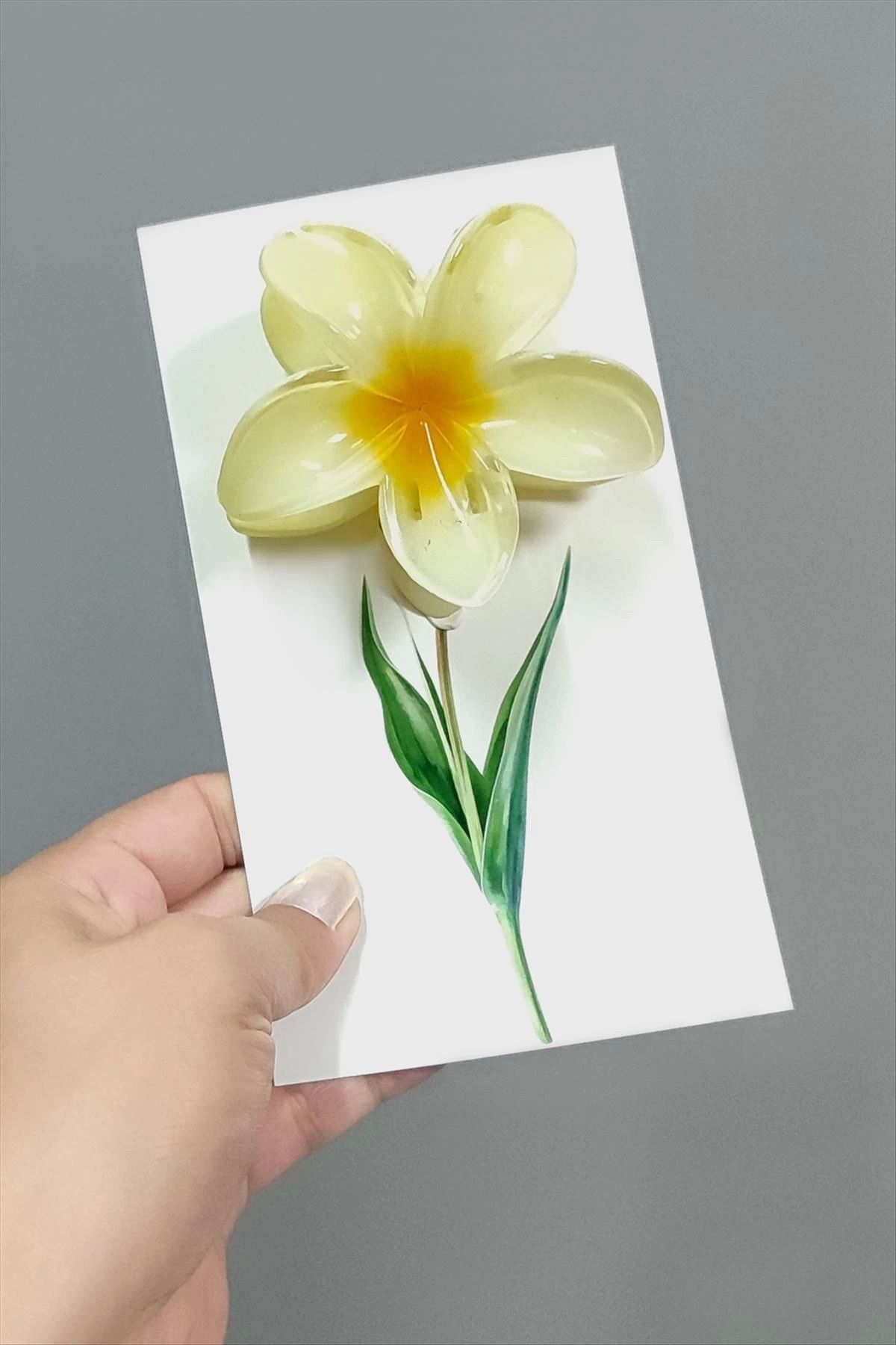 Heez 100 Adet Sarı Lotus Toka 8 cm Kına Seti