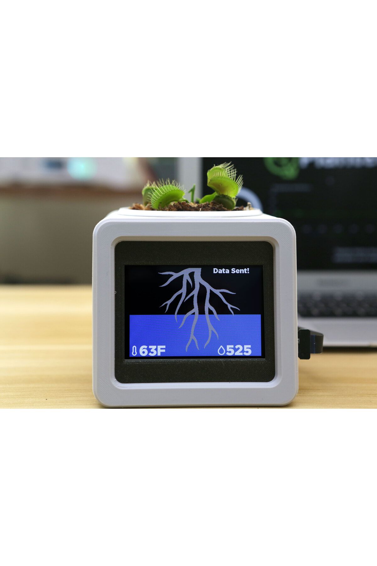 talaşoğlu Akıllı IoT Pet Extratter
