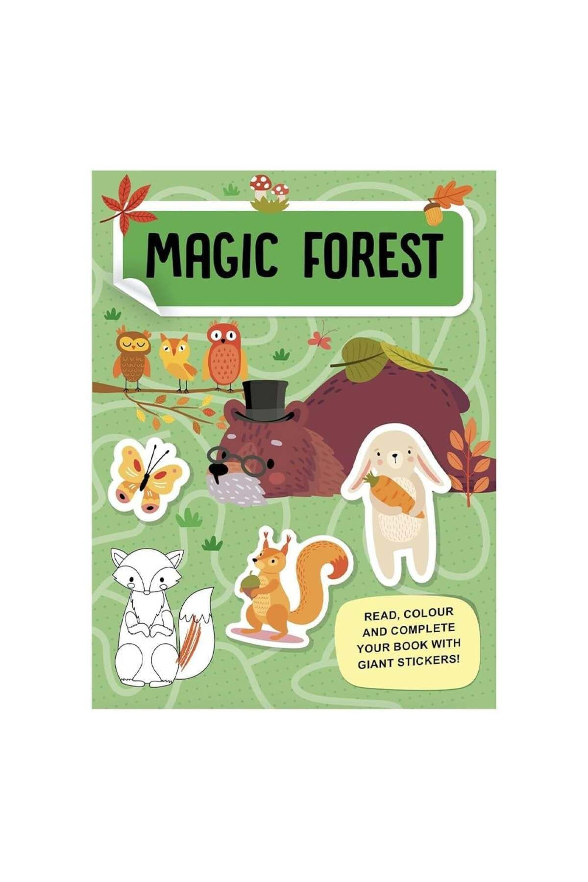 SASSI Mega Box Arts & Crafts - Magic Forest