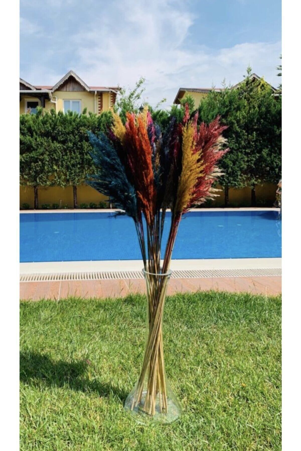 Elioure Renkli ve doğal pampas dekoratif süsler, şık ve modern tasarım seçenekleri