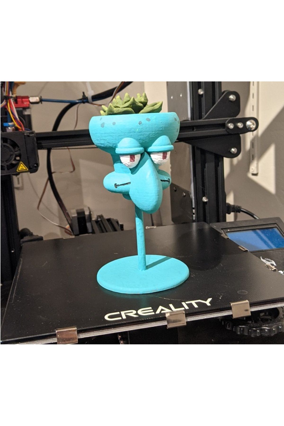 talaşoğlu Squidward Ekici