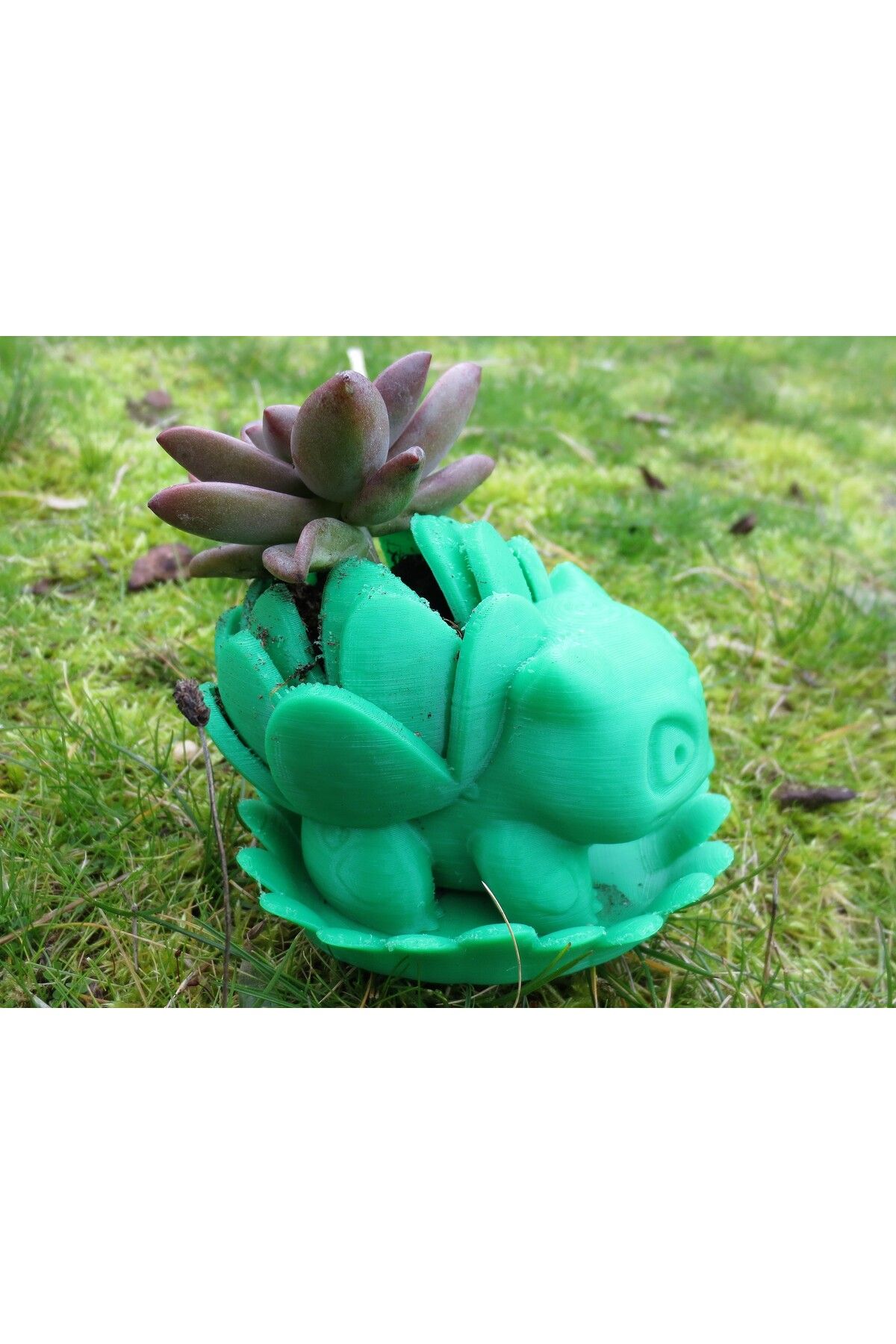 talaşoğlu Yaprak drenaj tepsisi ile çiçek açan bulbasaur ekici