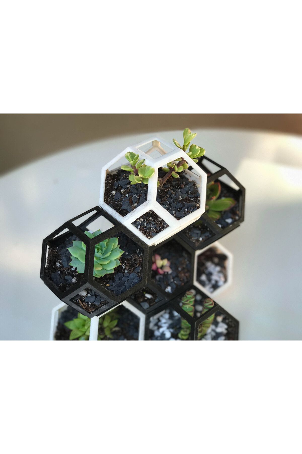 talaşoğlu Plantygon - sulu meyveler için modüler geometrik istifleme ekici