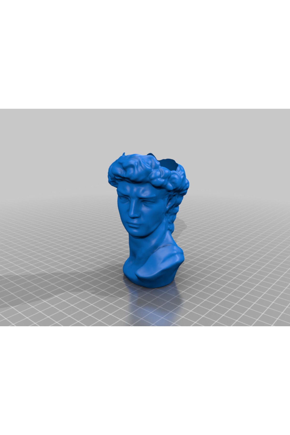 talaşoğlu David Head Ekici