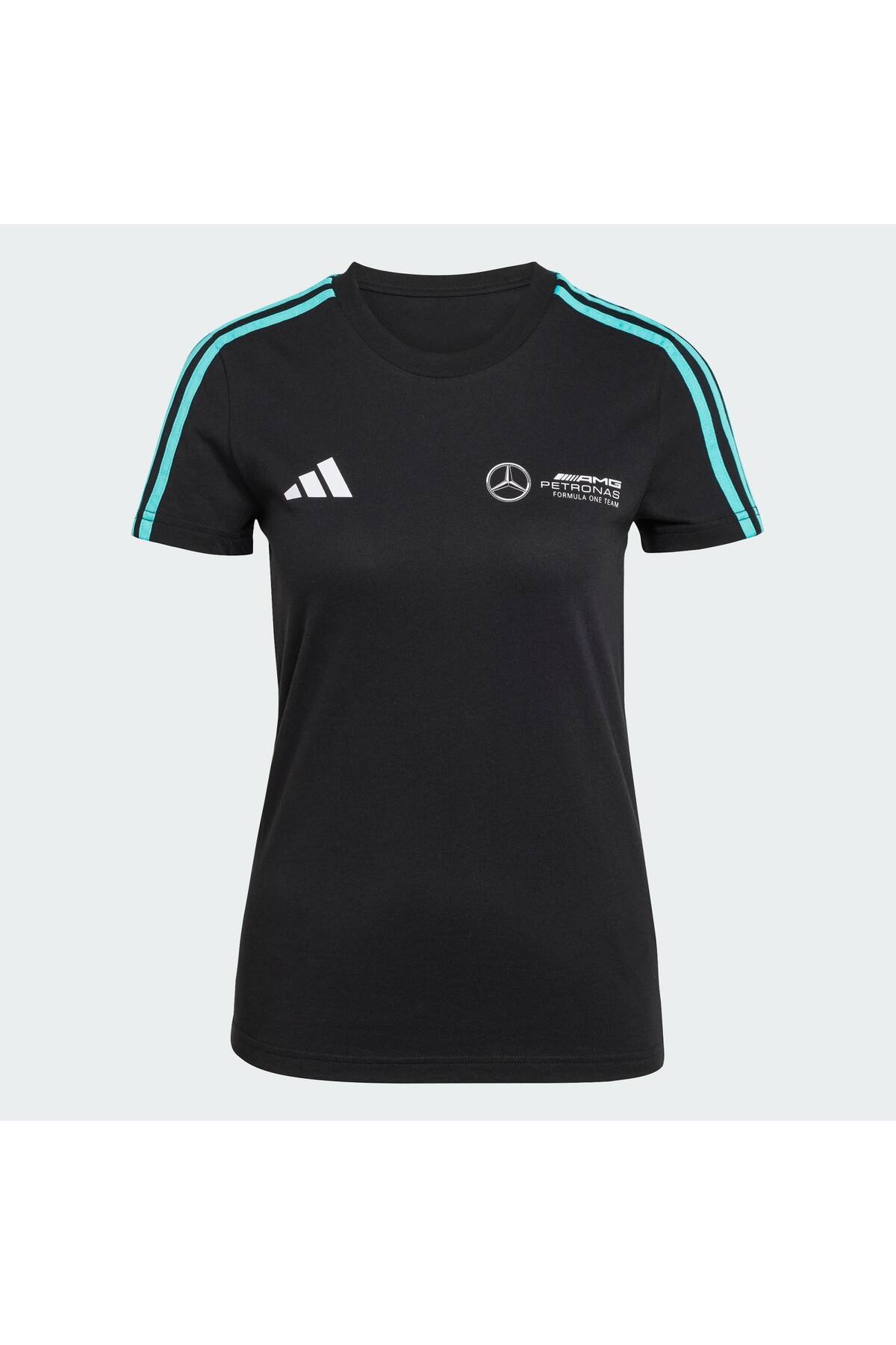 Mercedes - AMG Petronas Formula One Team DNA Tee