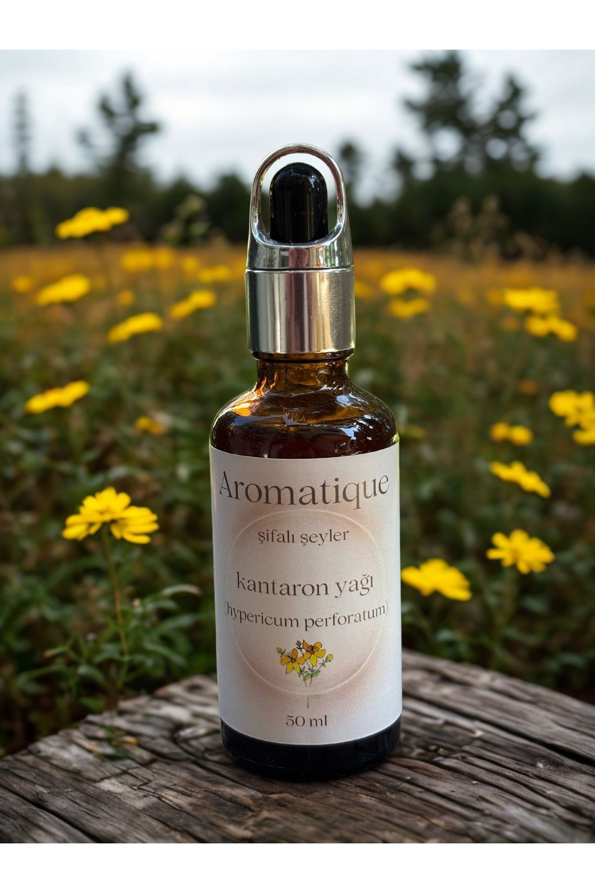 Aromatique Kantaron Yağı