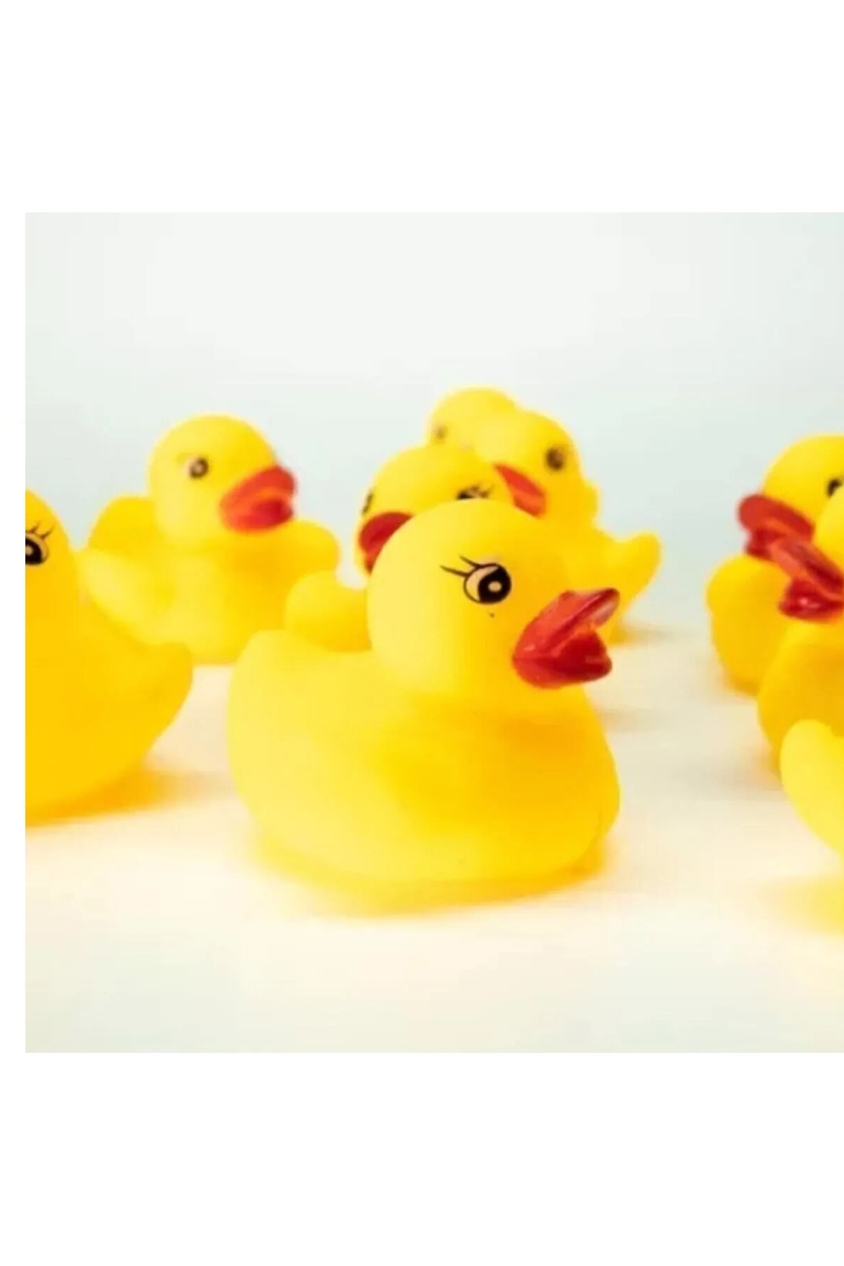 Oyuncakcı&Burada Vinil Ördek 12 Adet Sesli Banyo Oyuncağı Seti Ördek Kardeşler fotoğrafı 2 (önizleme)