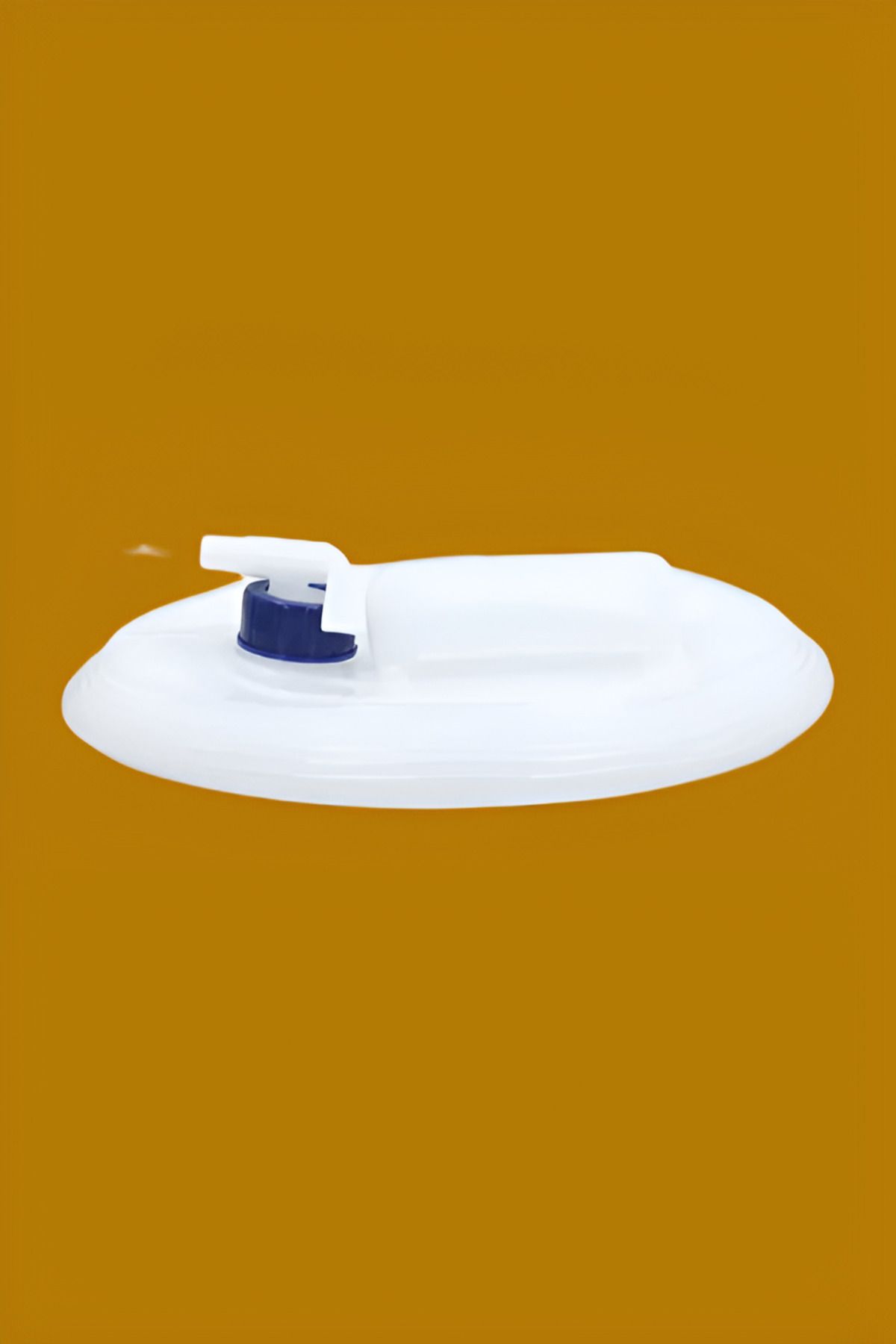 AUTOSMART-Collapsible Water Container with Adjustable Tap 2