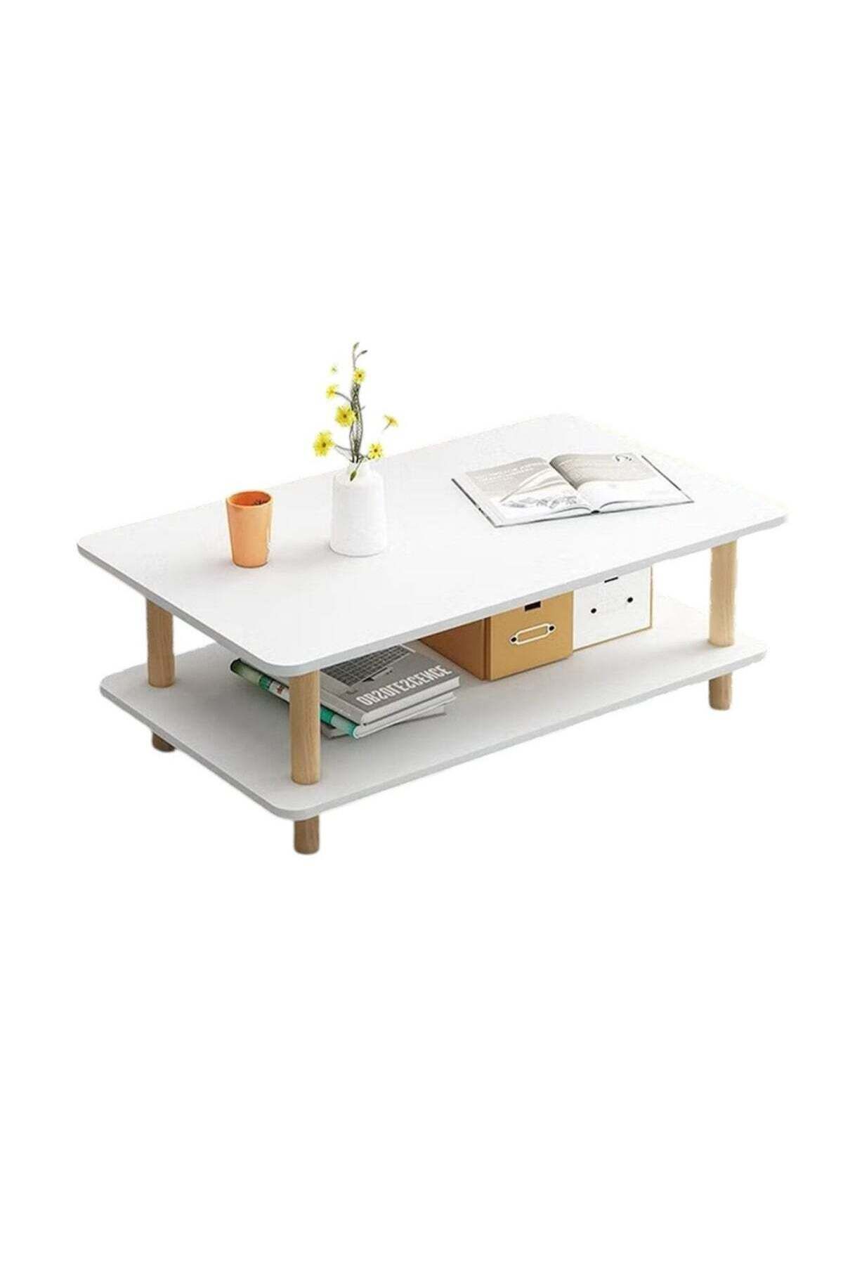 Generic-Two-tier coffee table, rectangular coffee table, coffee table with storage 1