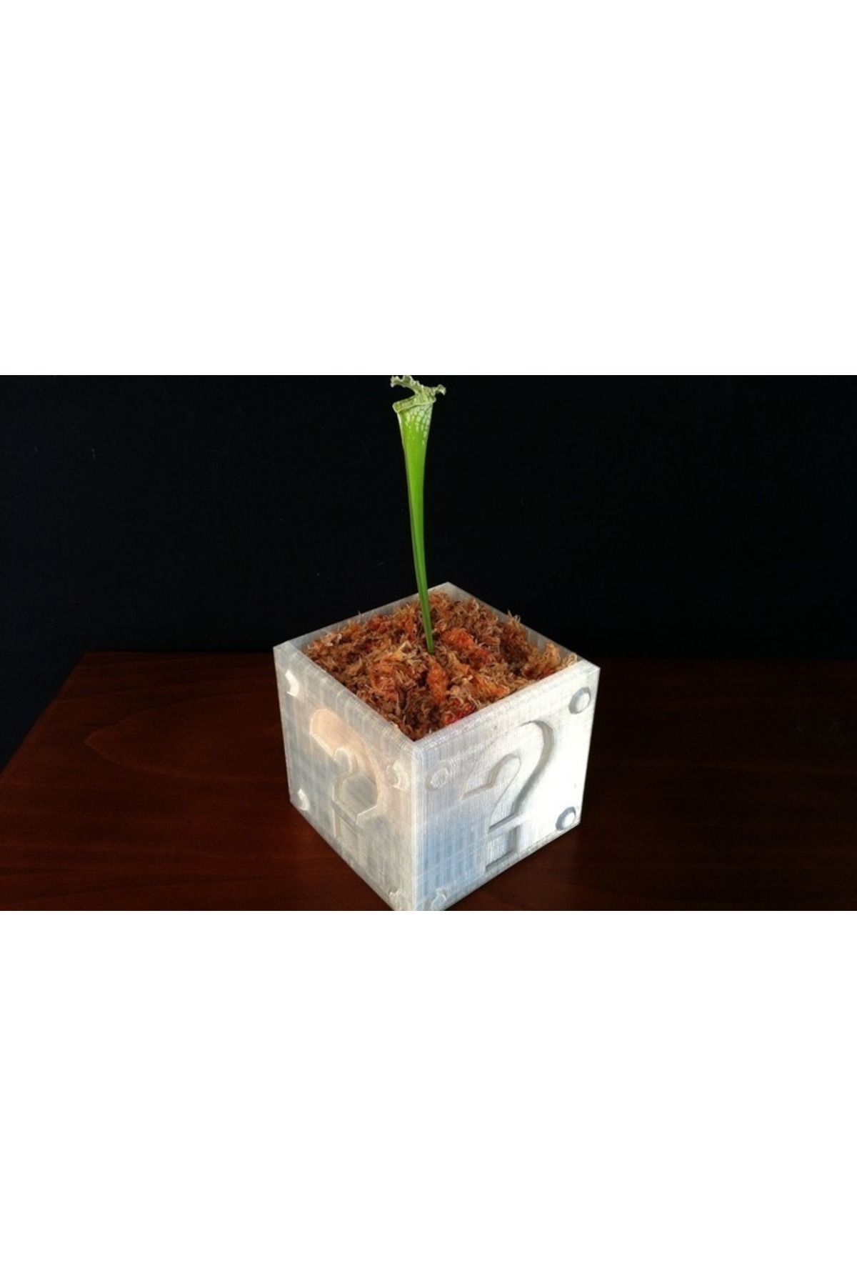 talaşoğlu Soru Bloğu #Planter #Games