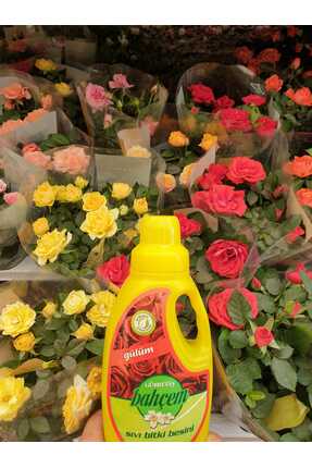 Gübretaş 🌹 Bahçem Gül Sıvı Bitki Besini – 500 Cc / 600 gr