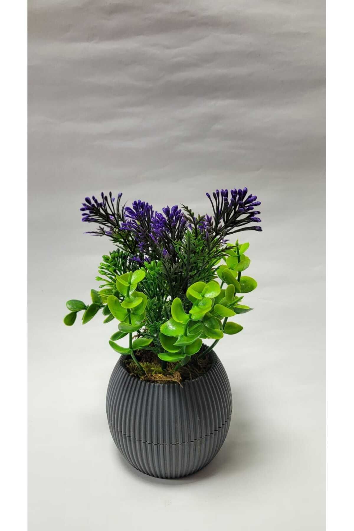Elioure Yeşil Mini Saksıda Yapay Bitki, Dekoratif, 17 Cm, Banyo ve Mutfak İçin