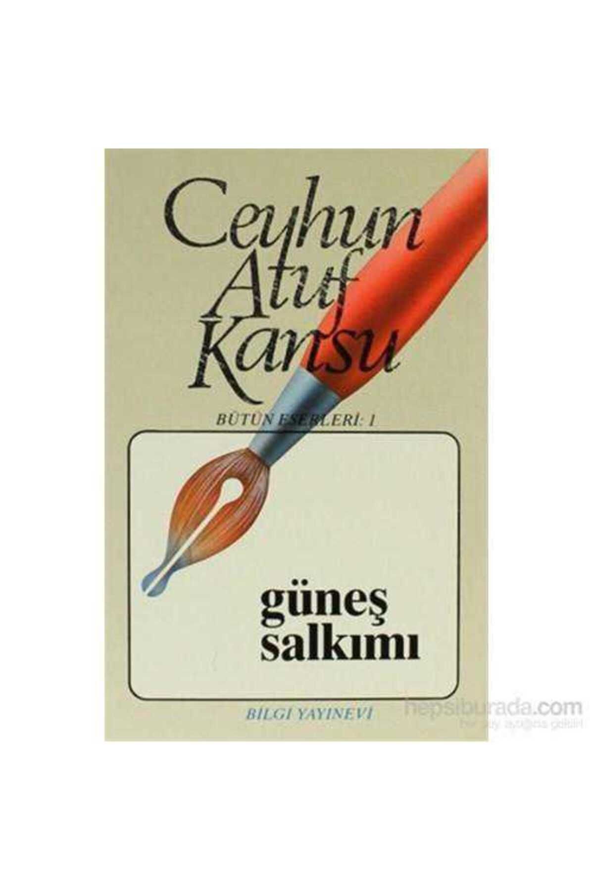 Kişisel Yayınlar Güneş Salkımı