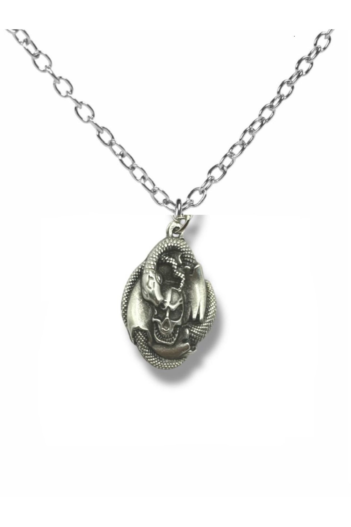 Herşey Nota Silver Skull Snake Spiral Figürlü Unisex Kolye – 60 cm Zincirli Gotik ve Sembolik Tasarım
