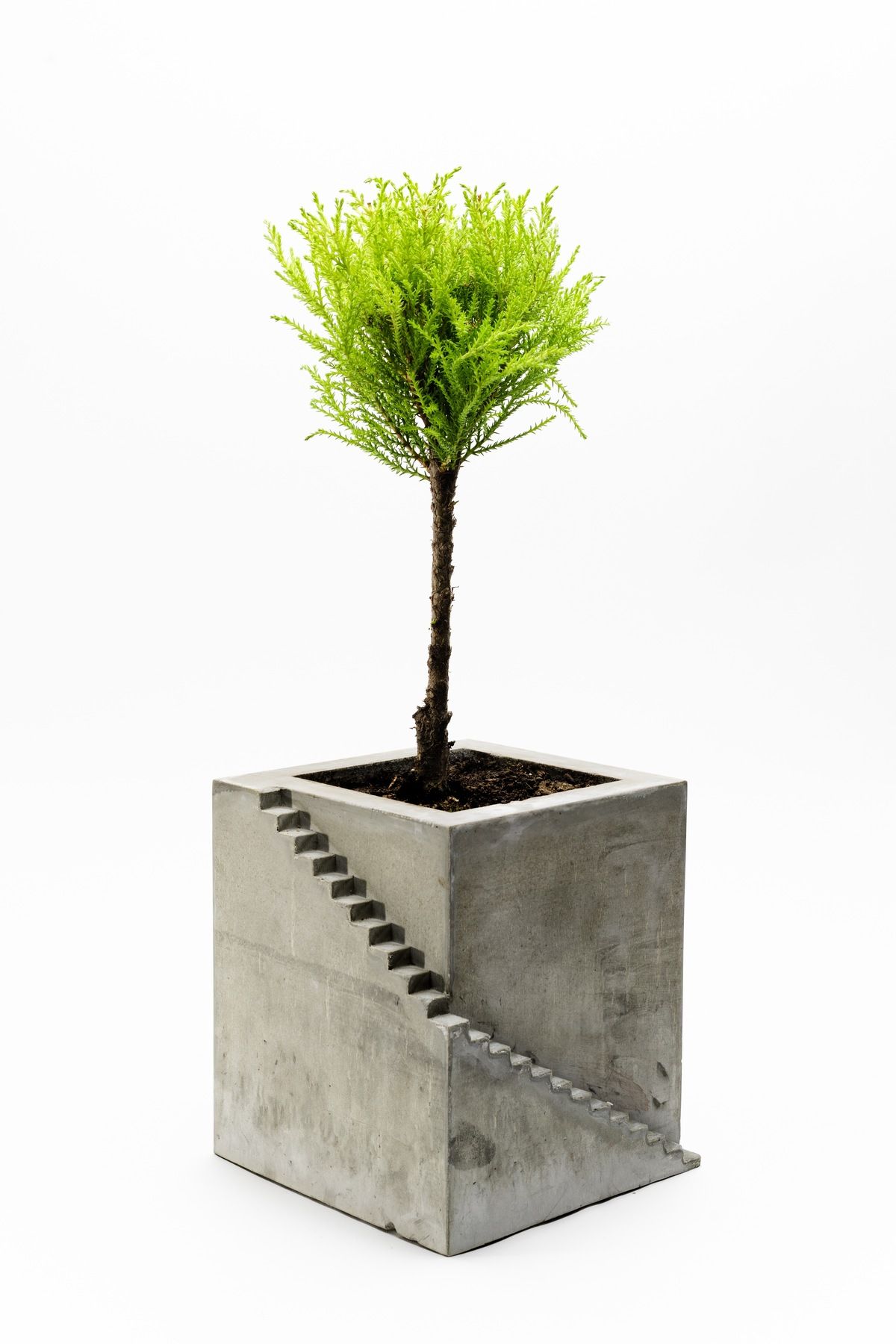talaşoğlu Beton ekici