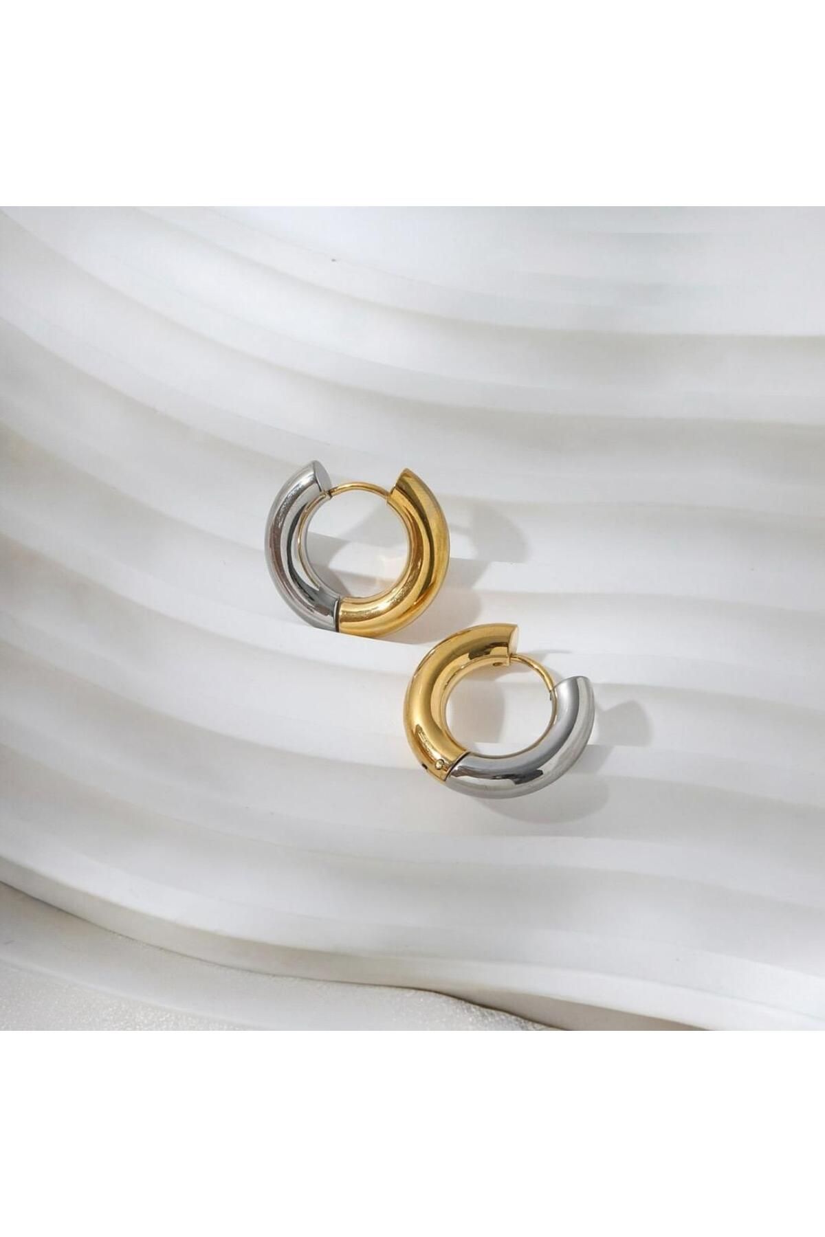 NORD COLLECTION Gold Gümüş İki Renkli Halka Çelik Küpe