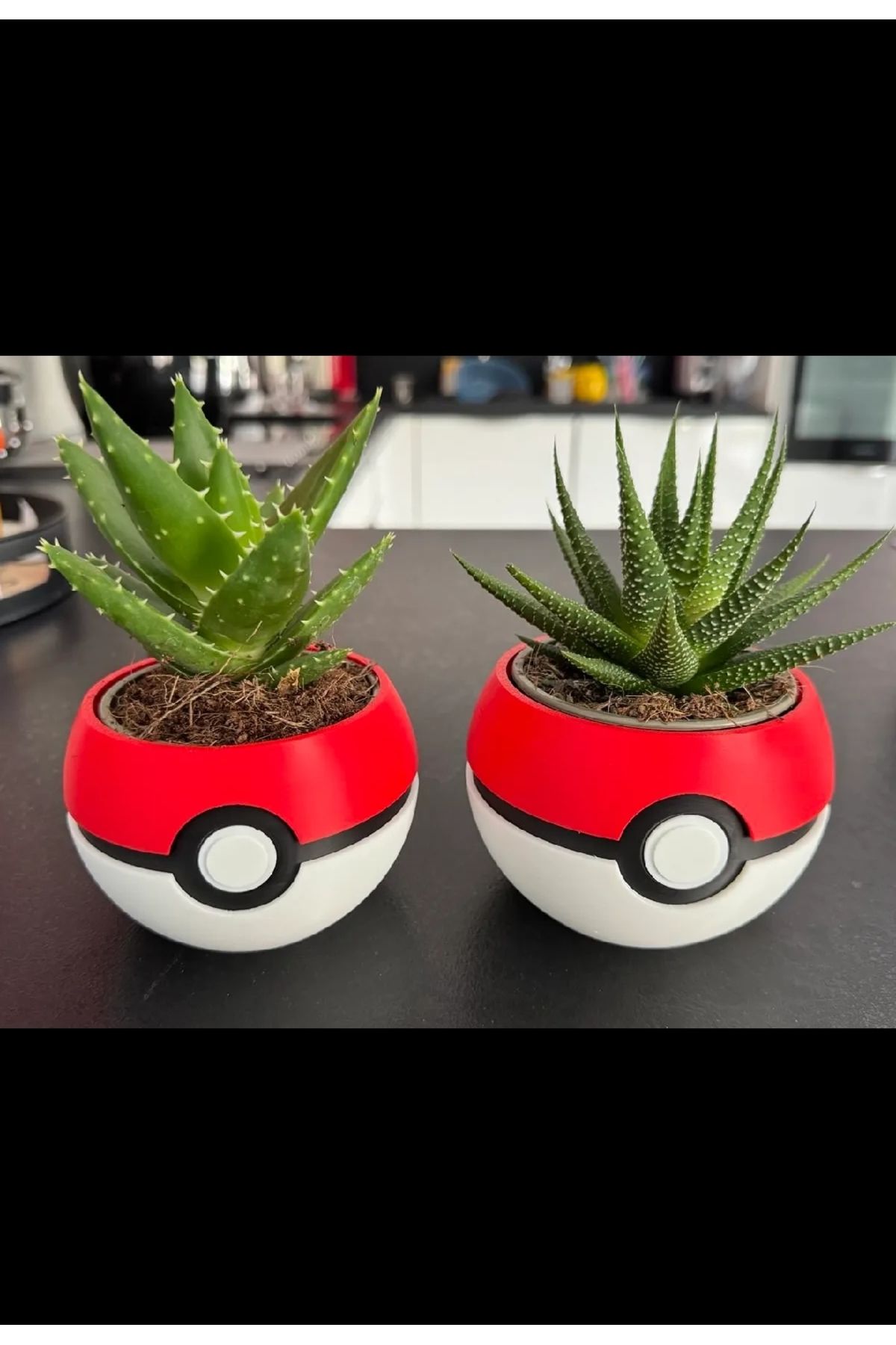 printastic 2'li Poketopu Kaktüs Saksı
