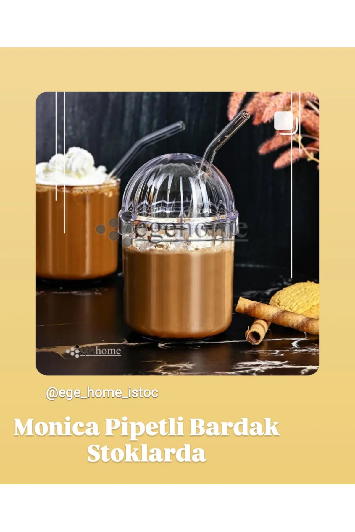 Home Cam pipetli mika barsak kapaklı