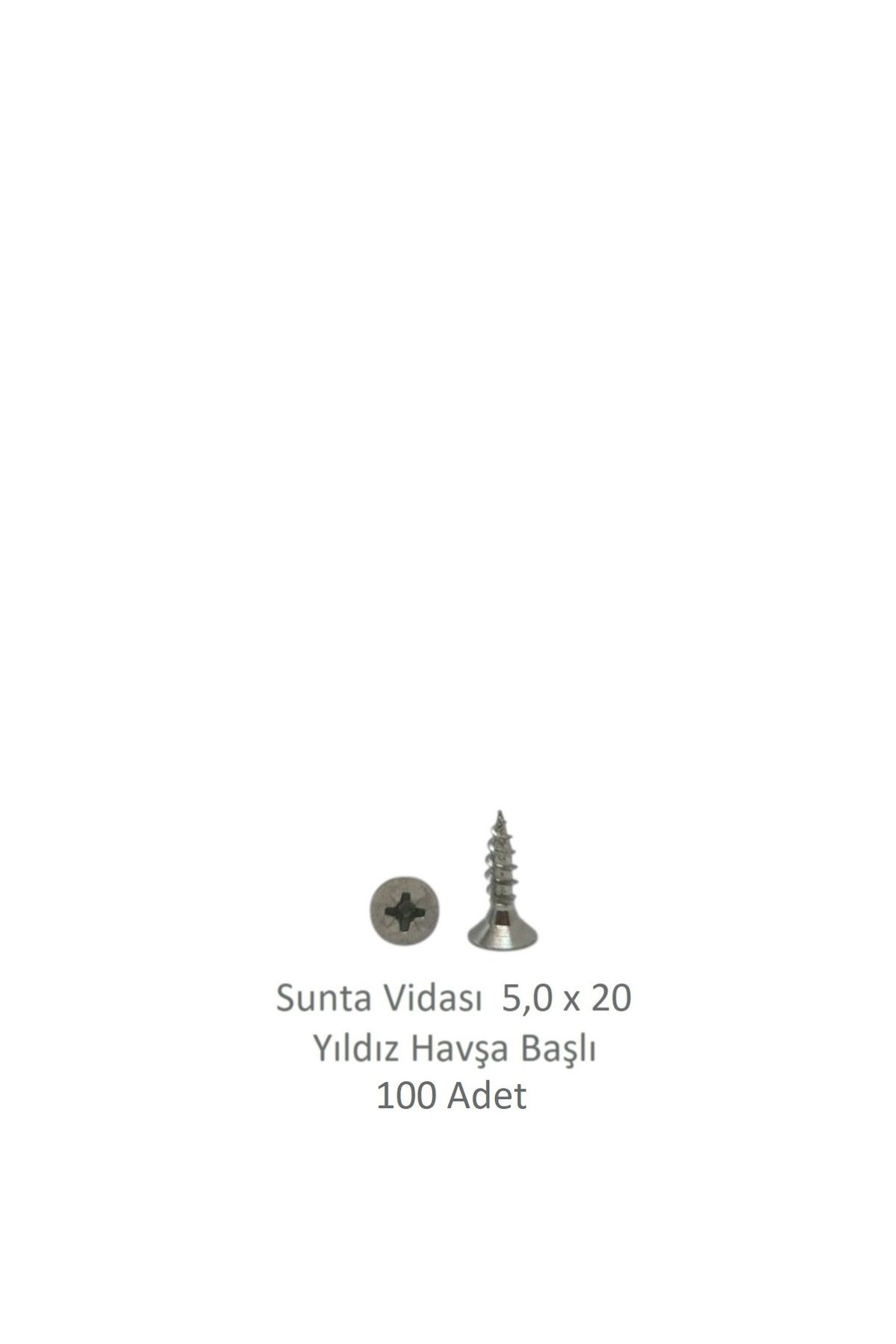 Adilon Sunta Vidası 5,0 x 20 mm 100 Adet YHB Vida