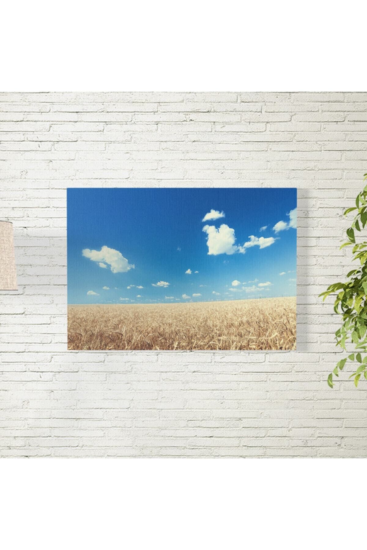 Elioure Doğa Manzarası Posteri 35x50 cm, Tarlalar ve Gökyüzü Teması