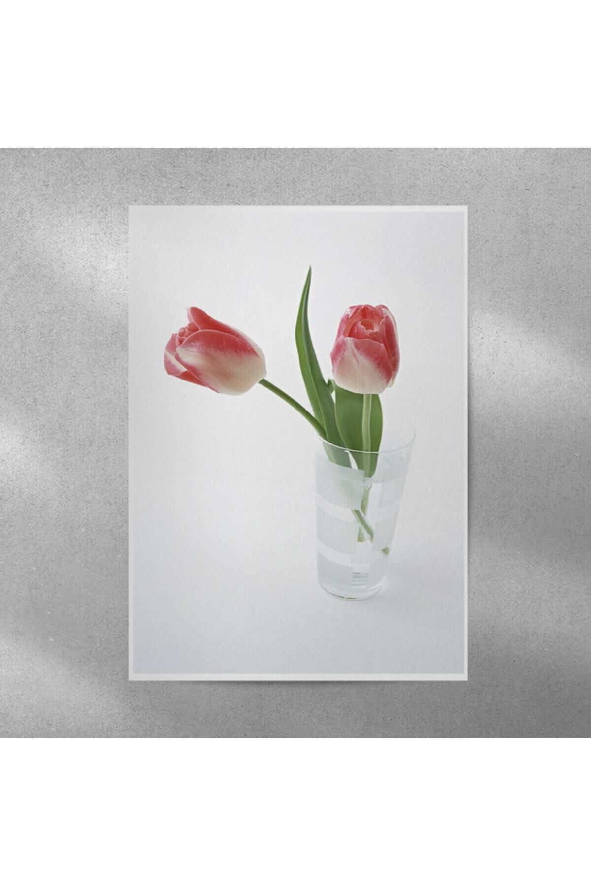Elioure Şık Lale Temalı 35x50 cm Çerçeveli Poster Dekorasyonu