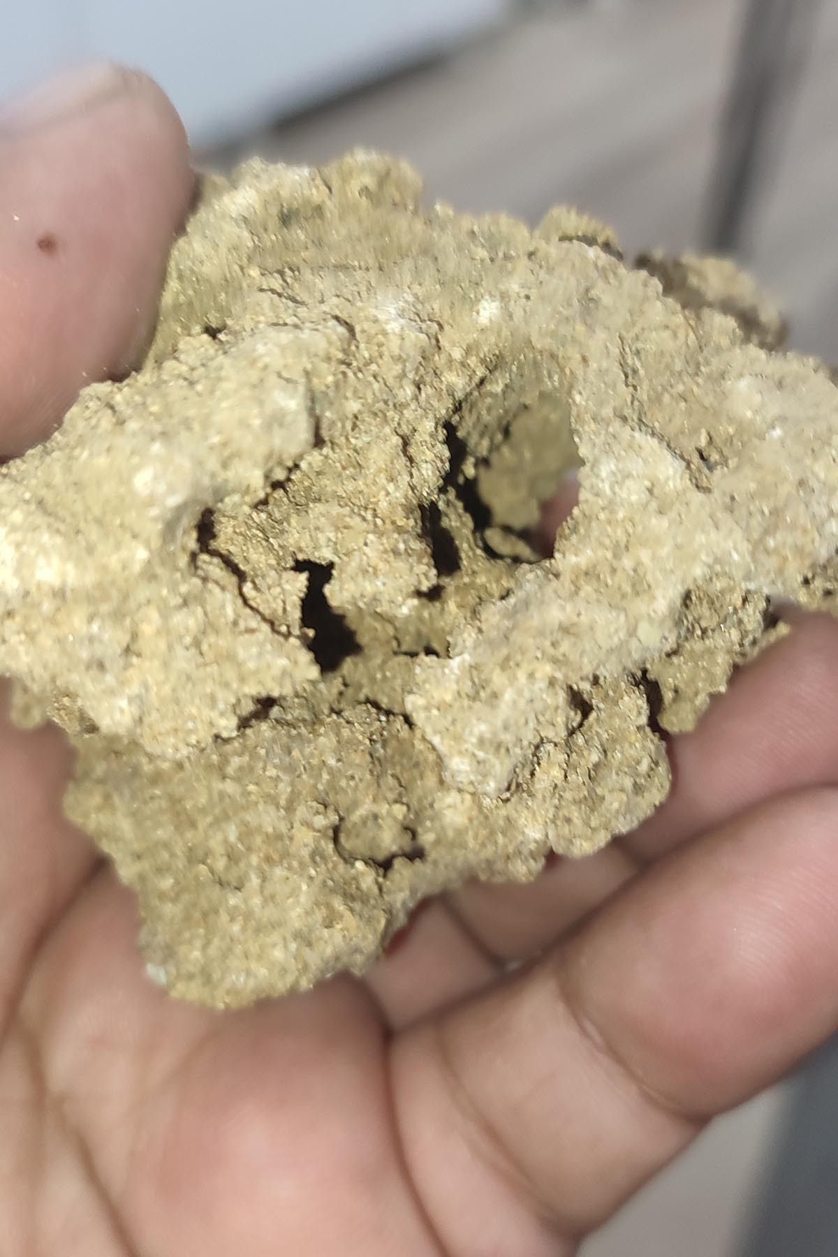 Elioure Doğal Lav Taşı 127 Gr, Dekoratif ve Akvaryum İçin Şık Kütle