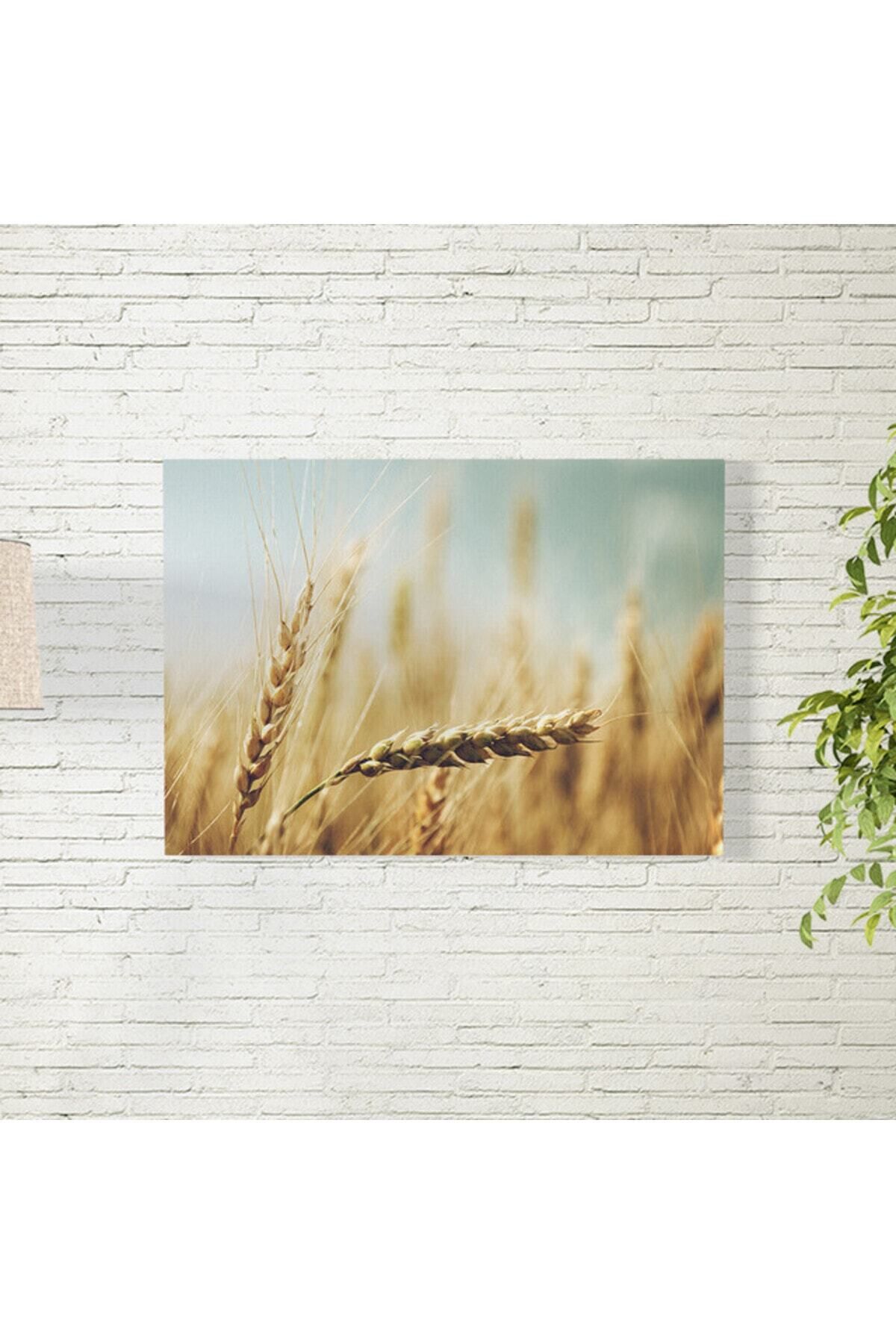 Elioure Sarı Buğday Temalı 35x50 cm Güzel Duvar Posteri
