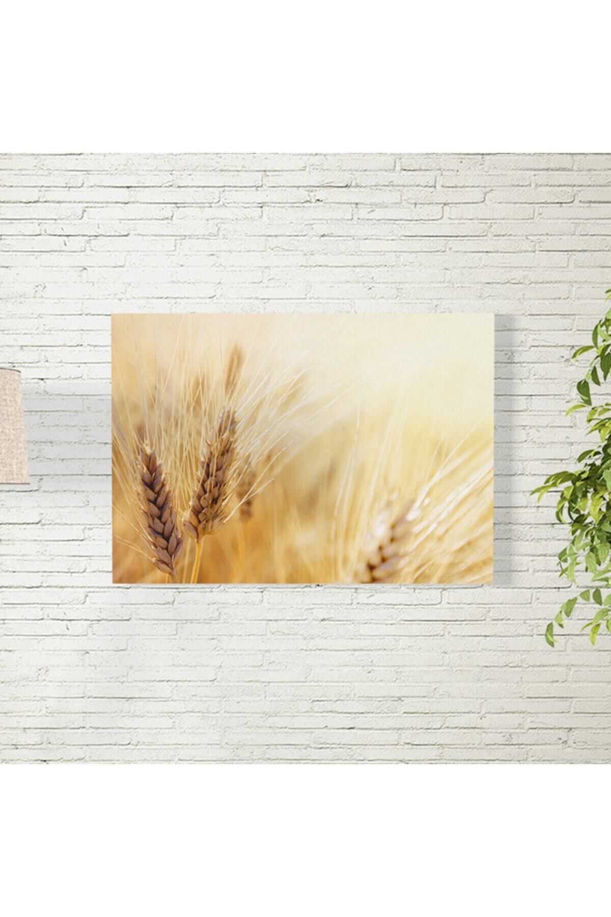 Elioure 35x50 cm Buğday Tarlası Sanat Posteri, doğal ve şık dekorasyon için ideal seçim
