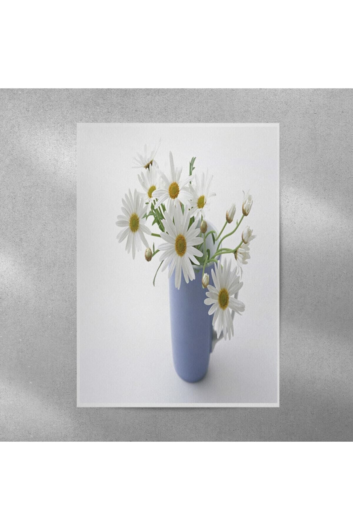 Elioure Beyaz Alman Papatyası Poster 35x50 cm, şık ve doğal dekor seçeneği