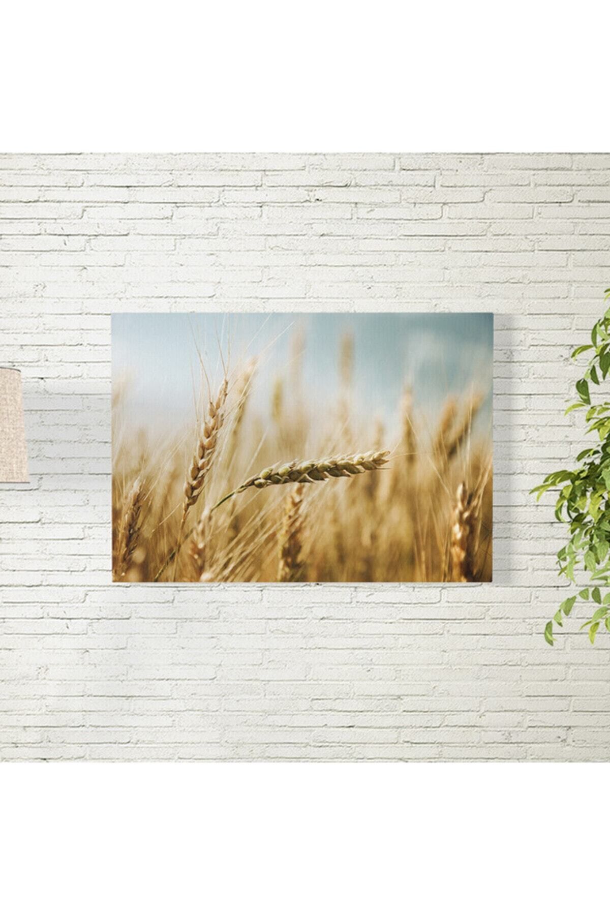 Elioure Doğal Buğdaylar Posteri 35x50 cm, Zarif ve Şık Ev Dekorasyonu
