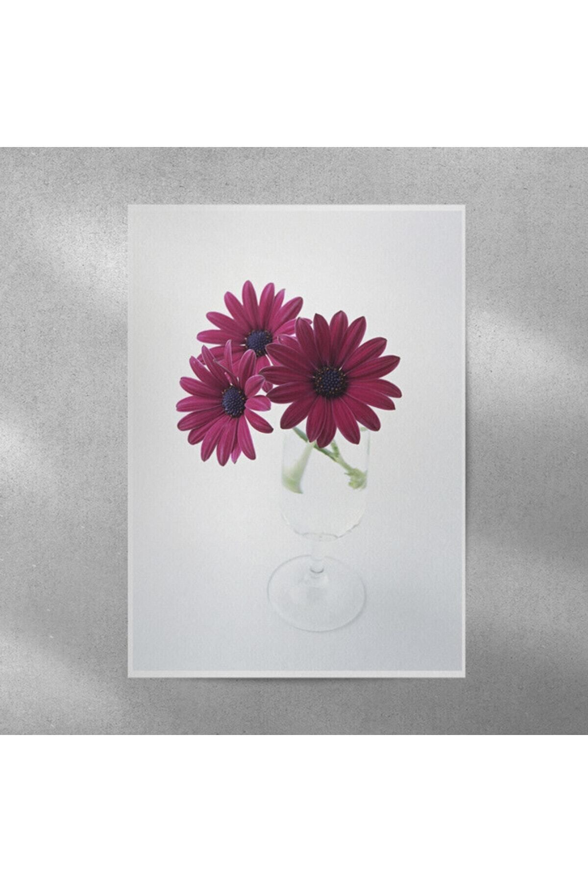 Elioure Mor Alman Papatyası Posteri 35x50 cm, doğal ve şık dekor seçeneği