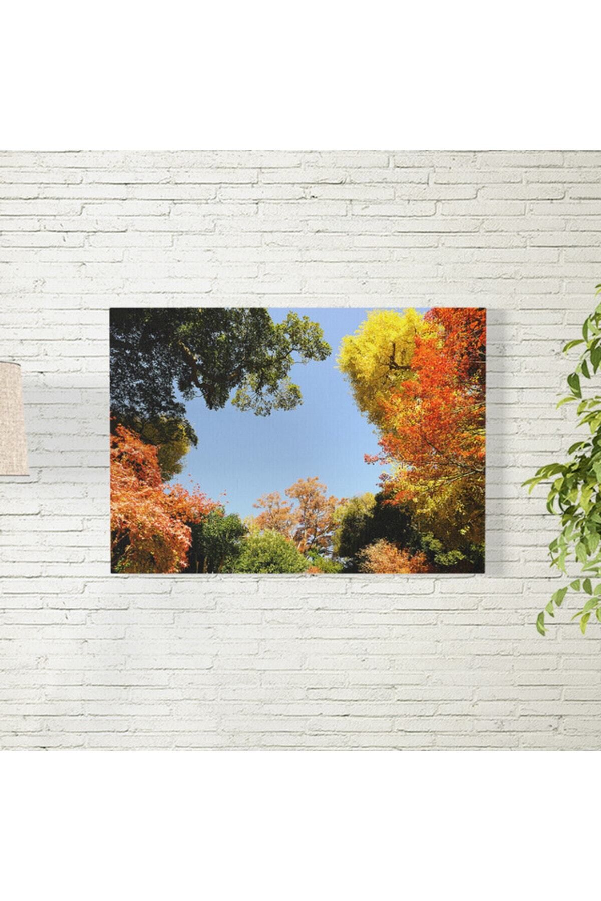 Elioure Renkli Ağaçlar Poster, 35x50 cm, Doğa Temalı Dekoratif Baskı