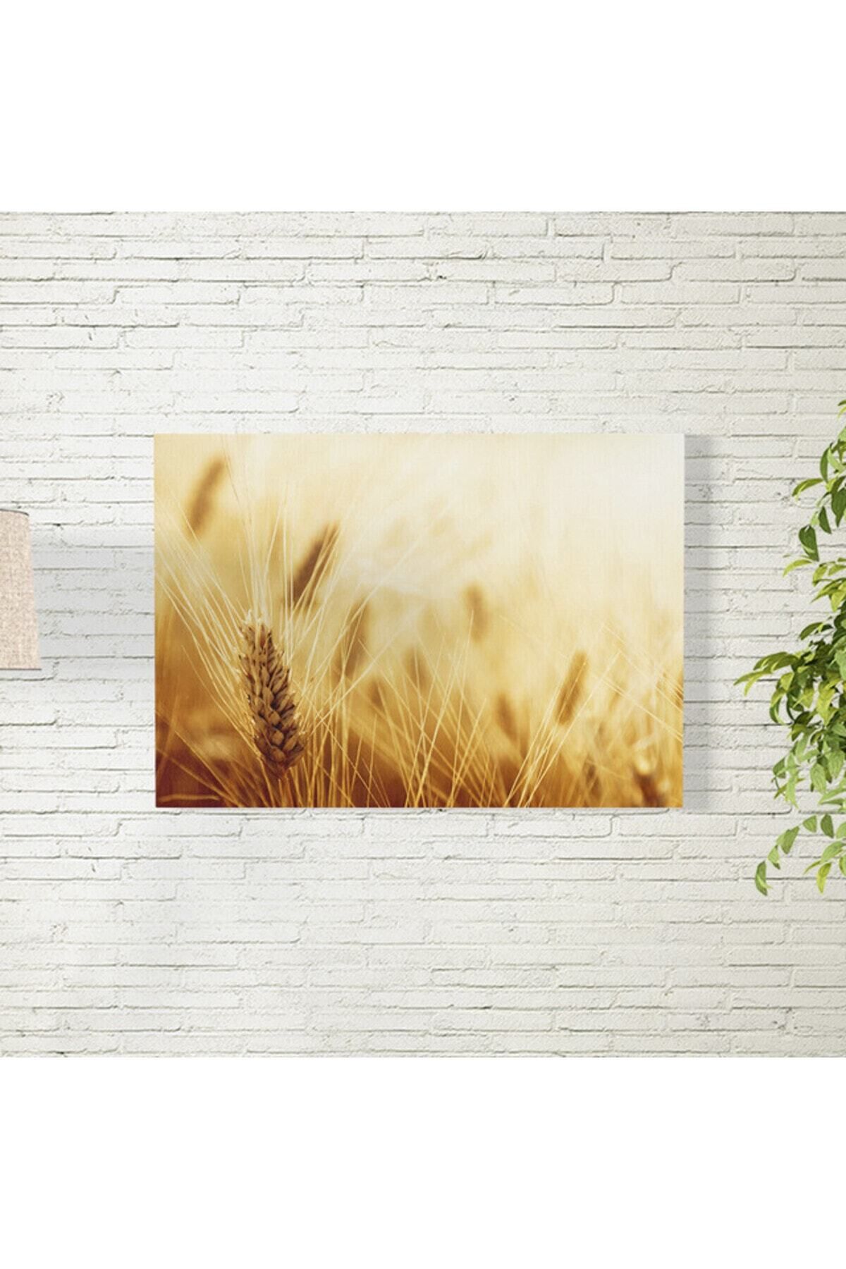Elioure 35x50 cm Buğday Tarlası Temalı Güzel Duvar Posteri