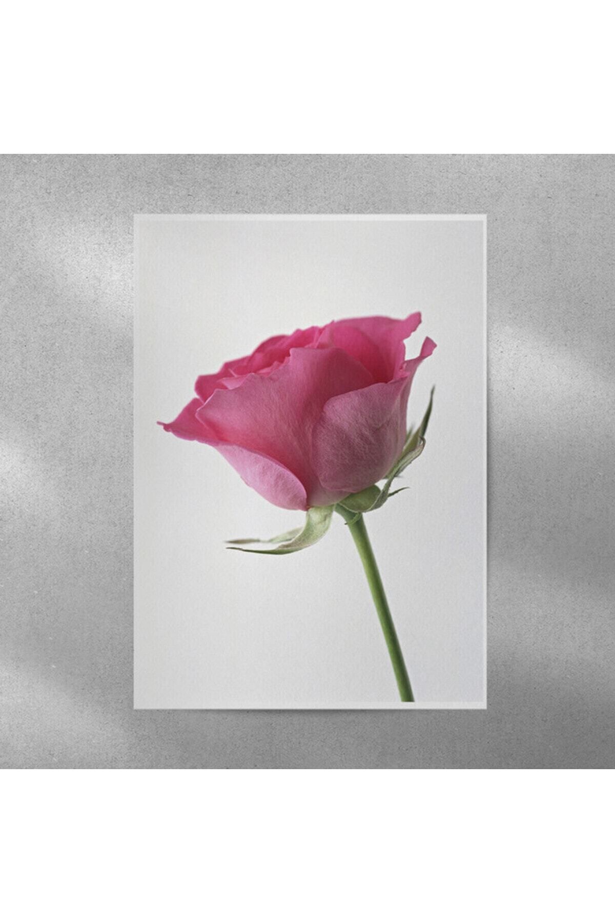 Elioure Gül Temalı Posteri 35x50 cm, Şık ve Dekoratif Ev ve Ofis Süsü