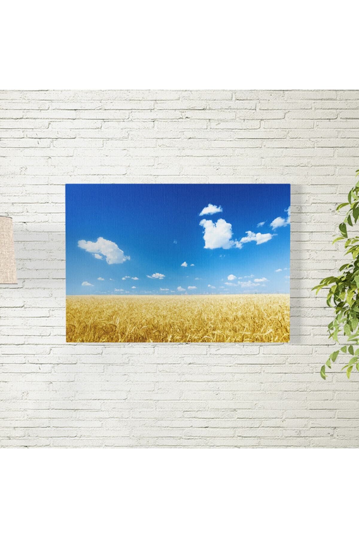 Elioure Doğal Tarlalar ve Gökyüzü Manzarası Posteri 35x50 cm