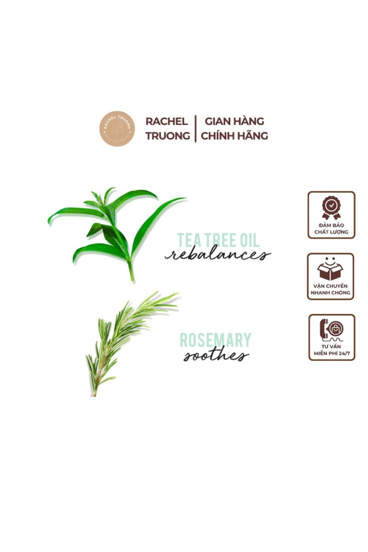 HASK-Tea Tree Oil & Rosemary Conditioner 355 ml – Invigorates & Soothes Scalp 8