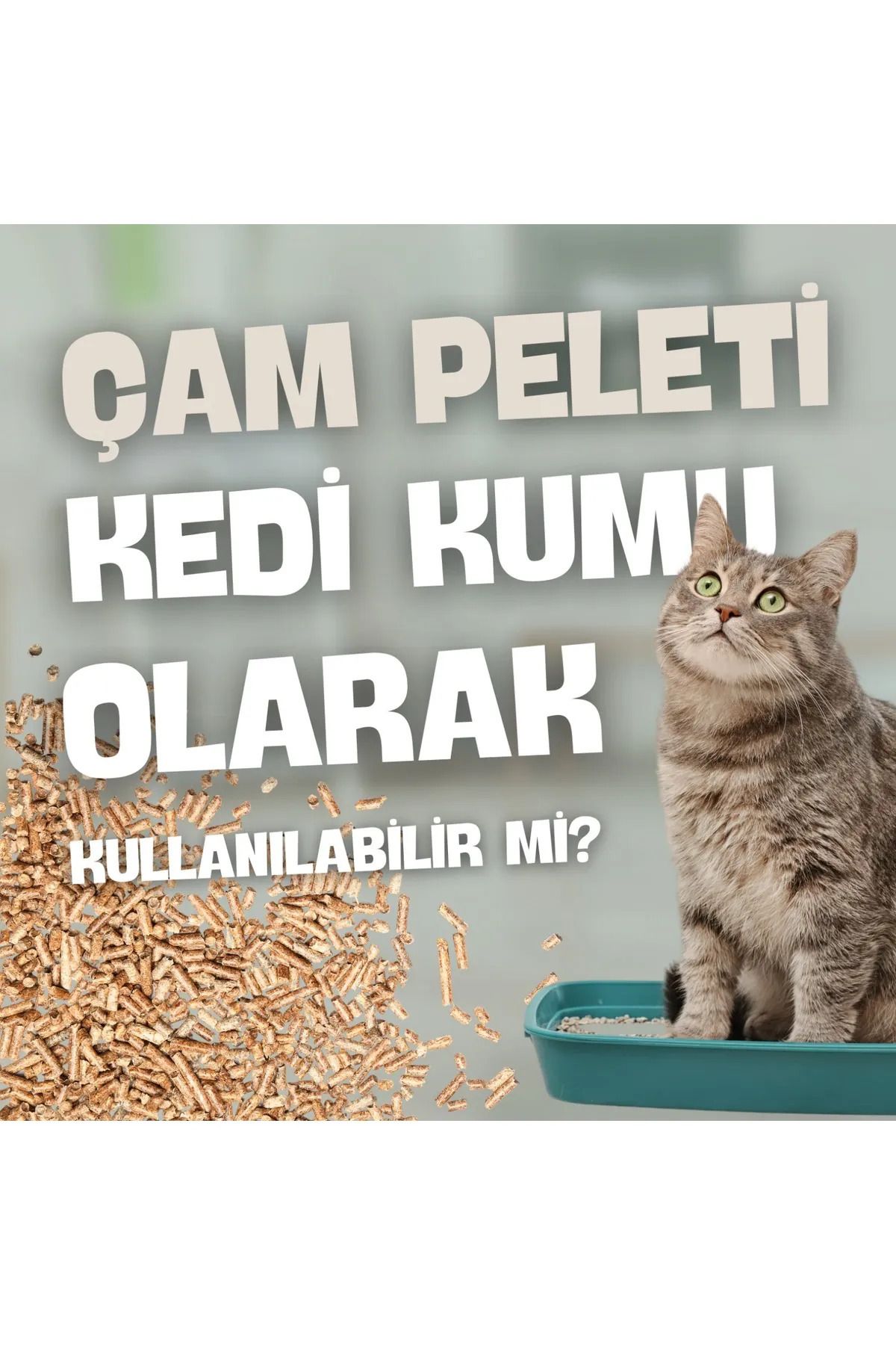 FAME ENERGY Çam Peleti Kedi Kumu 5 kg