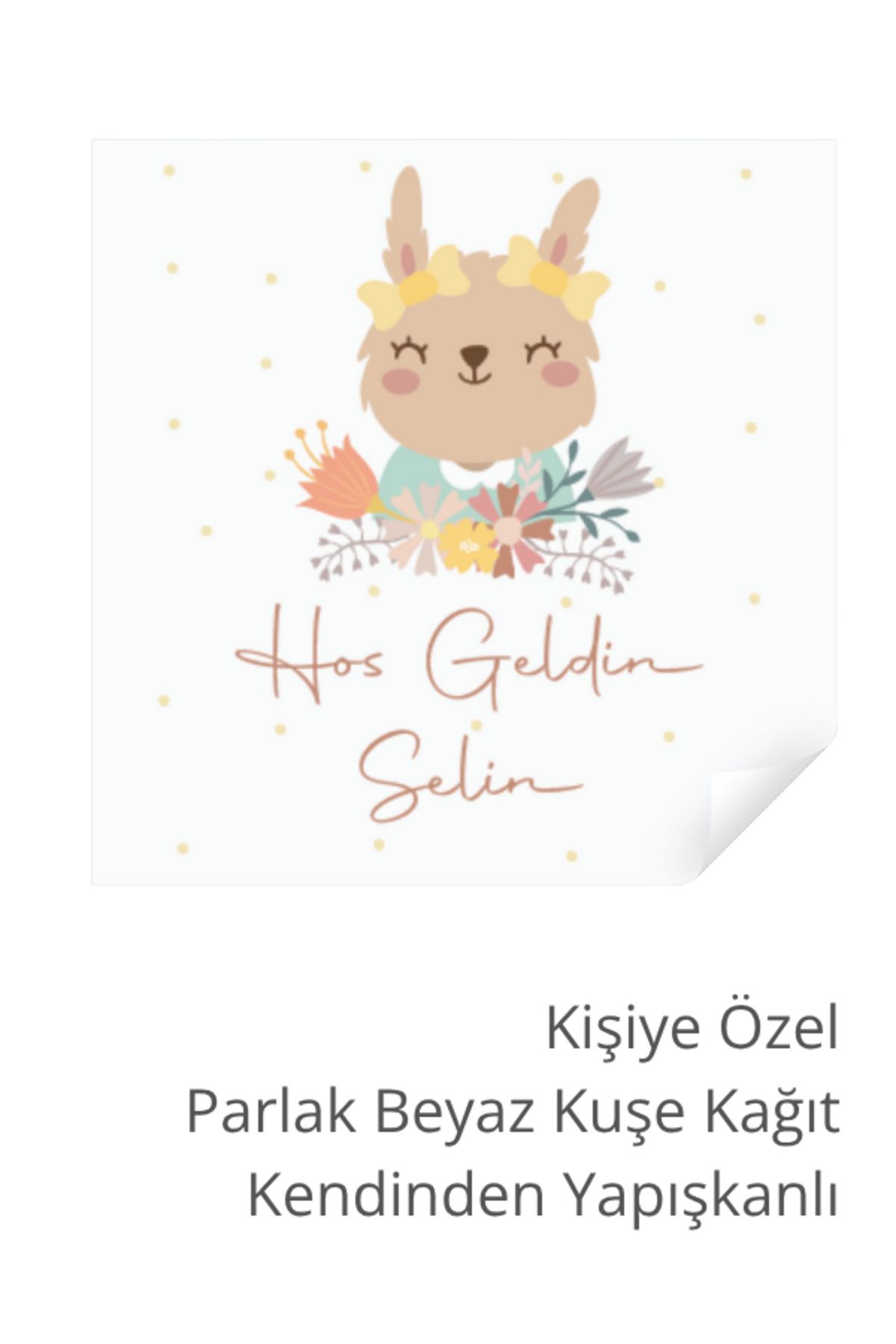ST Design Kişiye Özel İsimli Doğum Günü Etiketi, Kendinden Yapışkanlı Babyshower, Hoşgeldin Bebek Sticker