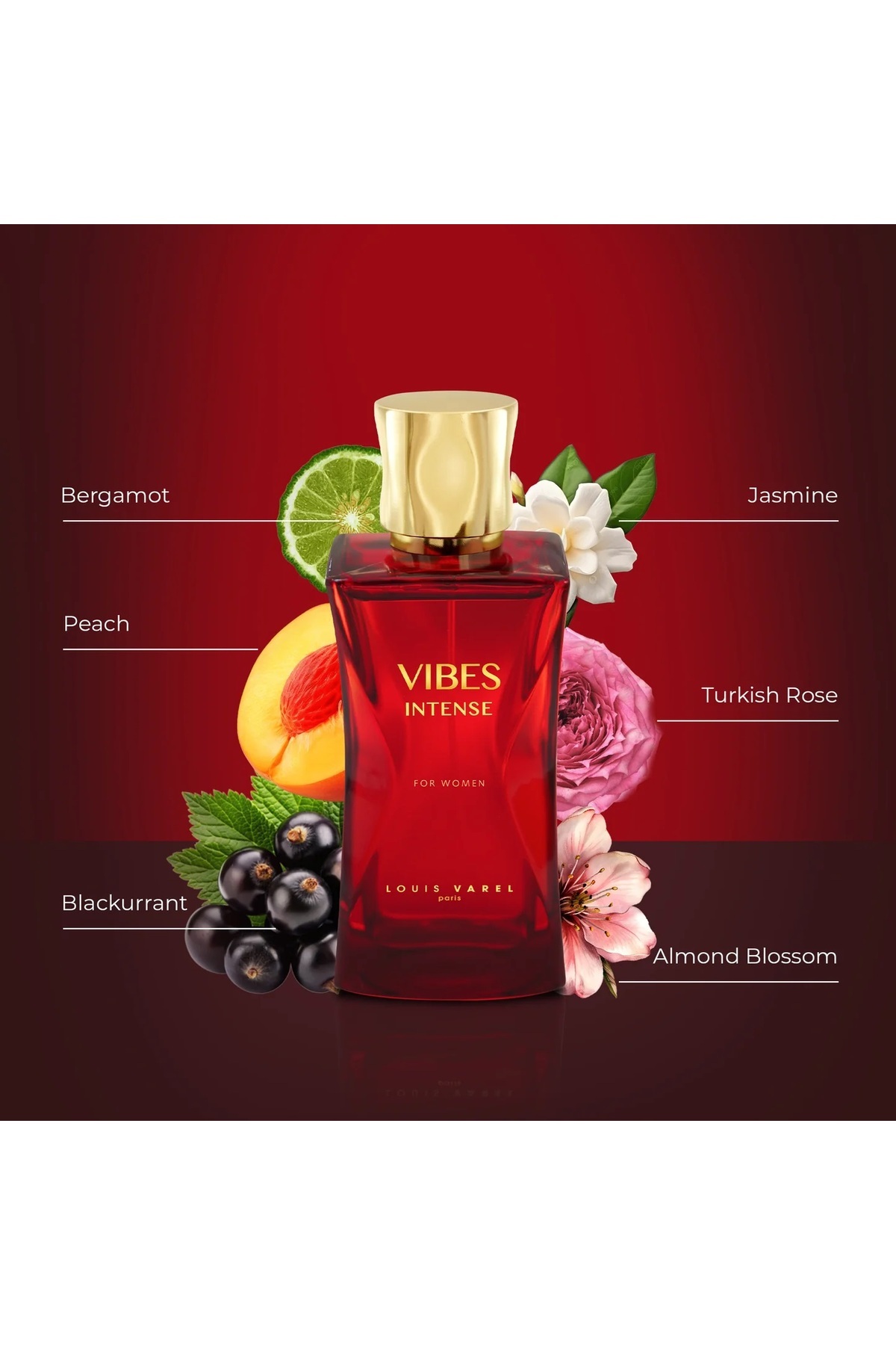 Louis Varel-VIBES INTENSE EDP WOMEN 100ML 7