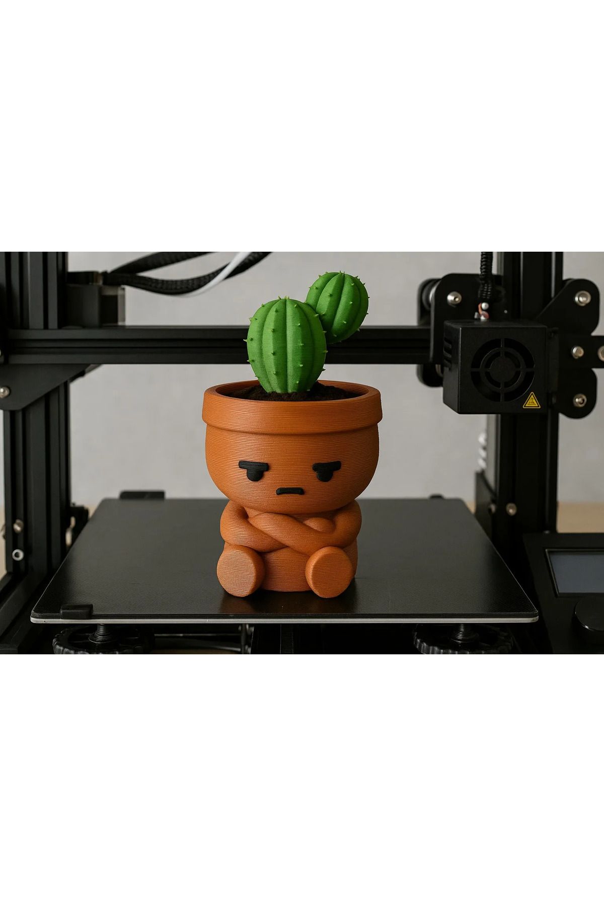Lumina3D Mini Kaktüs