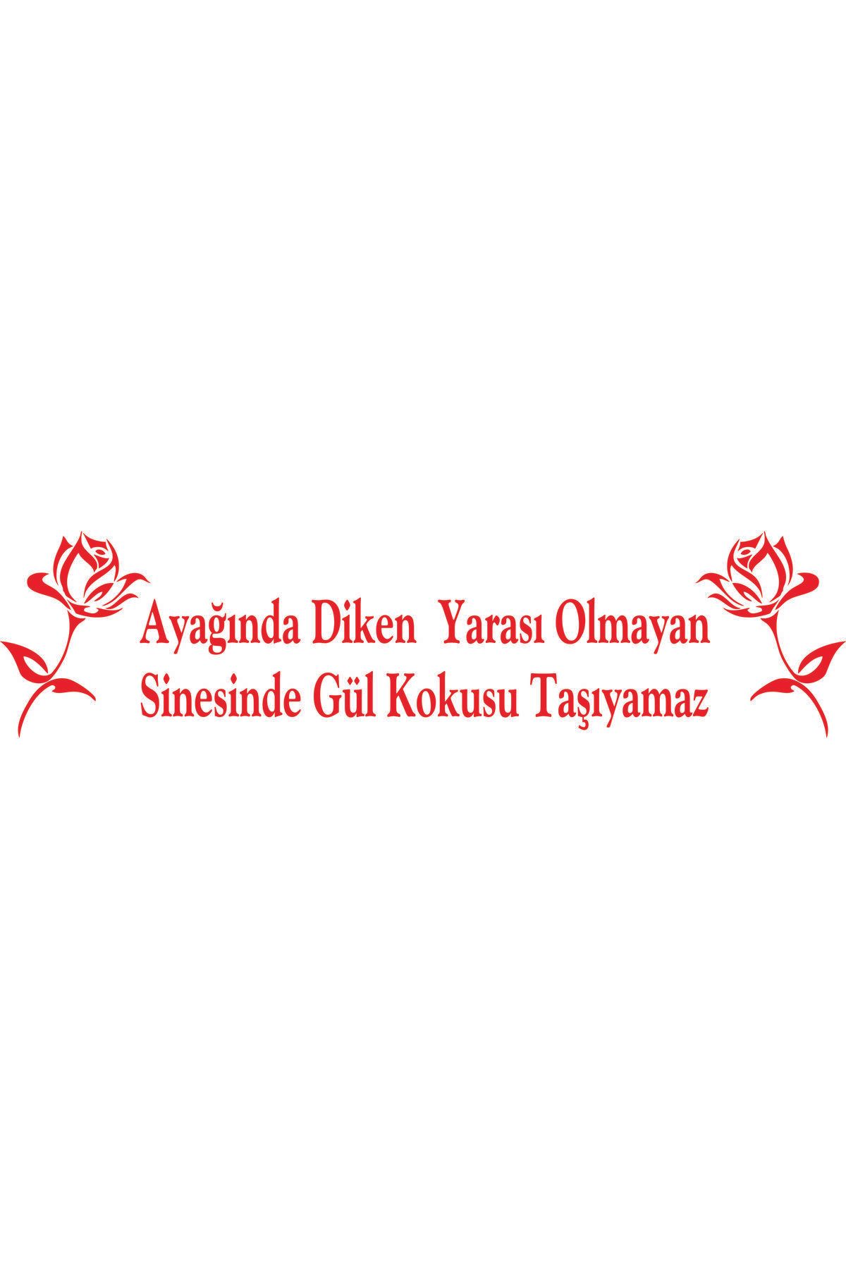 Birim Matbaa AYAĞINDA DİKEN YARASI OLMAYAN SİNESİNDE GÜL KOKUSU TAŞIYAMAZ OTO STİCKER(66X16 CM)