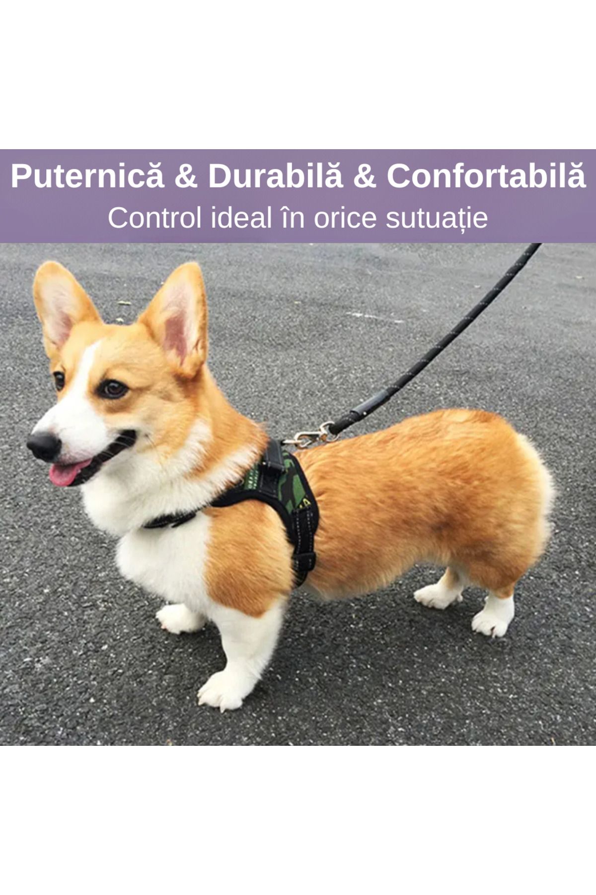 LUDORA-Dog Harness and Leash Set ®, Soft Lining, Breathable Material, Comfortable 18