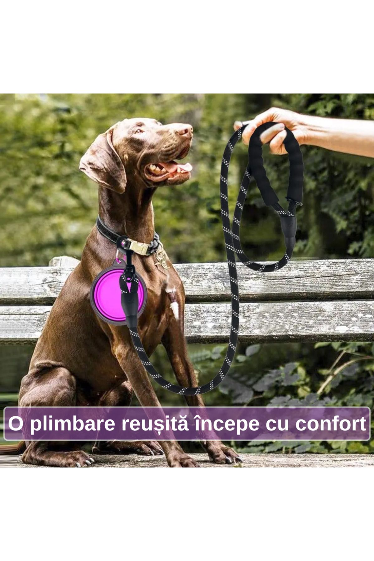 LUDORA-Dog Harness and Leash Set ®, Soft Lining, Breathable Material, Comfortable 17