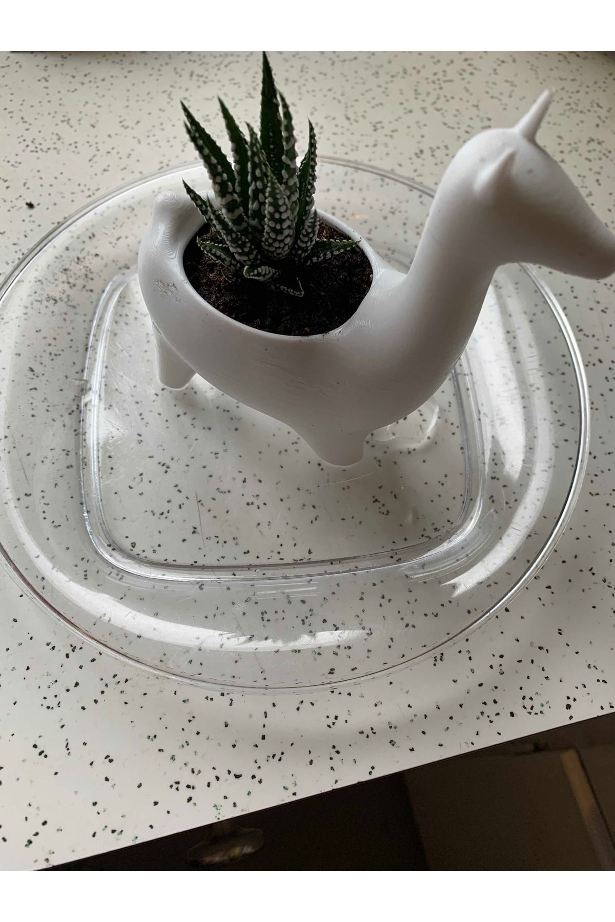 Vision Craft Lama Bitki Potu (~ 5 cm çapında)