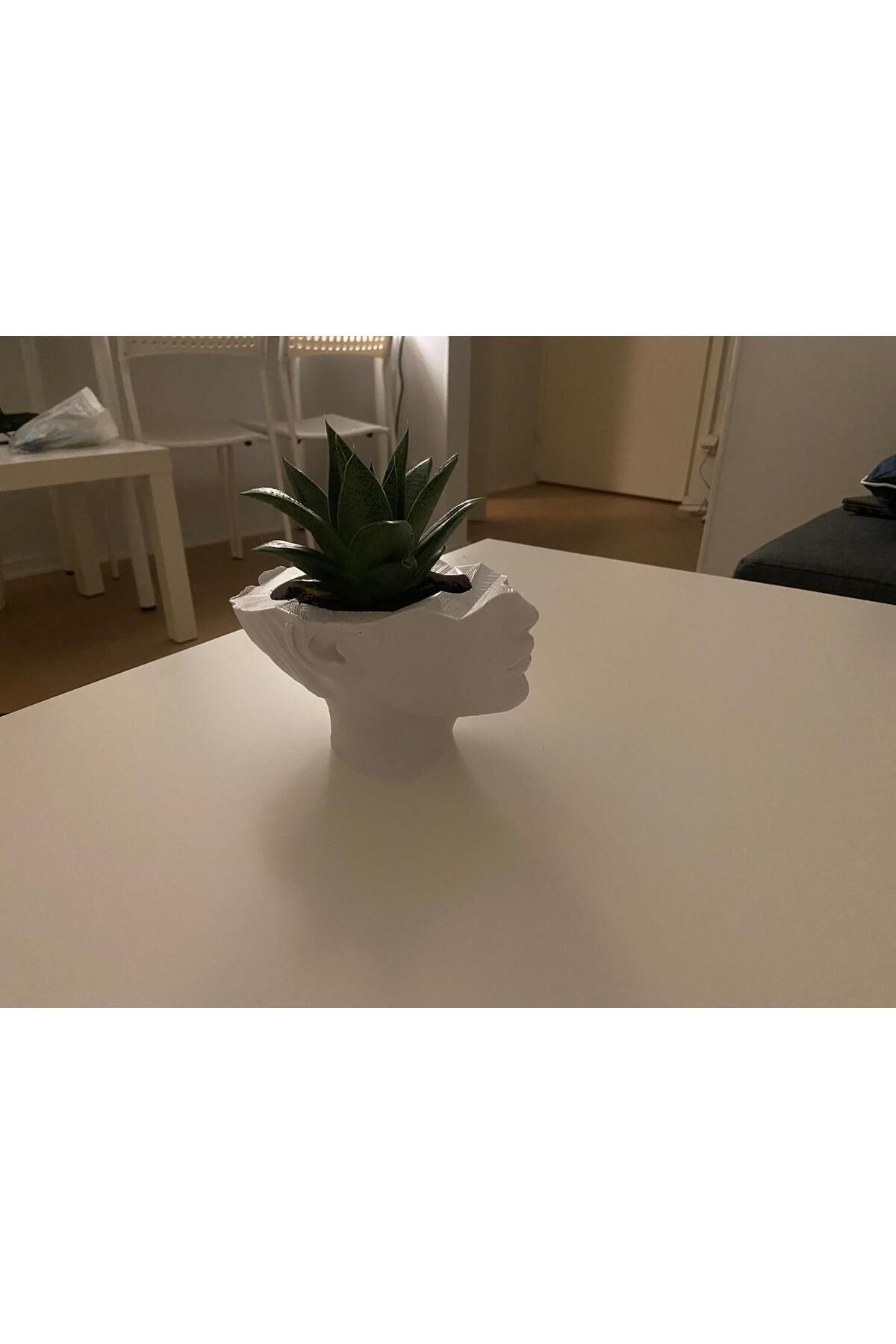 Vision Craft Saksı