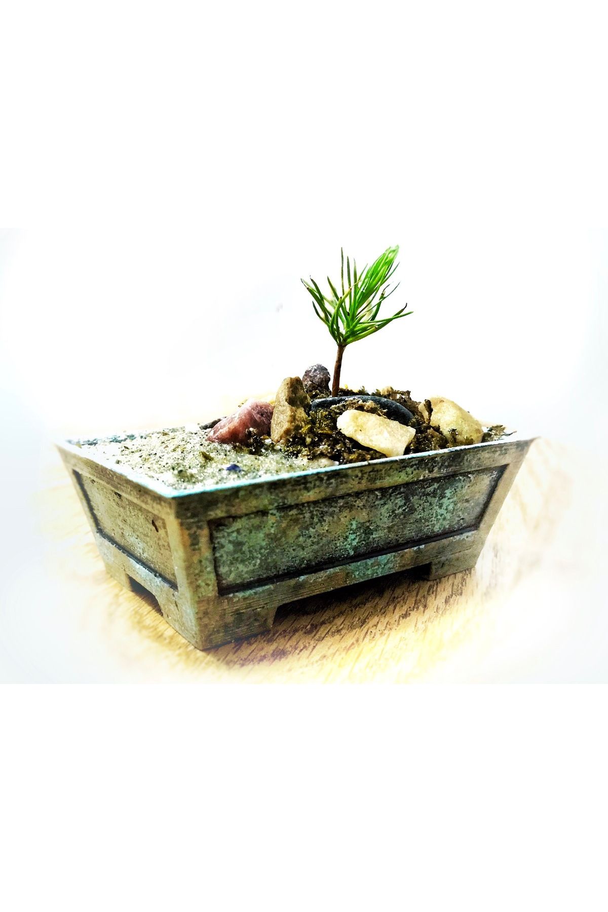 Vision Craft Küçük Bonsai Pot (50x75x25 mm)